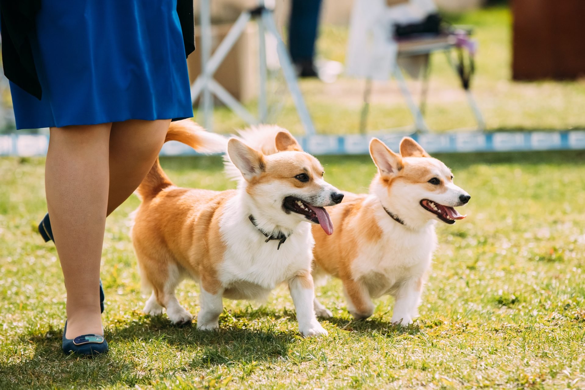 2021_03_gettyimages-962359626-scaled.jpg