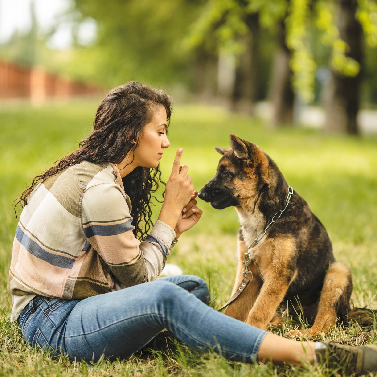 Happy young woman playing with her dog on the grass in park