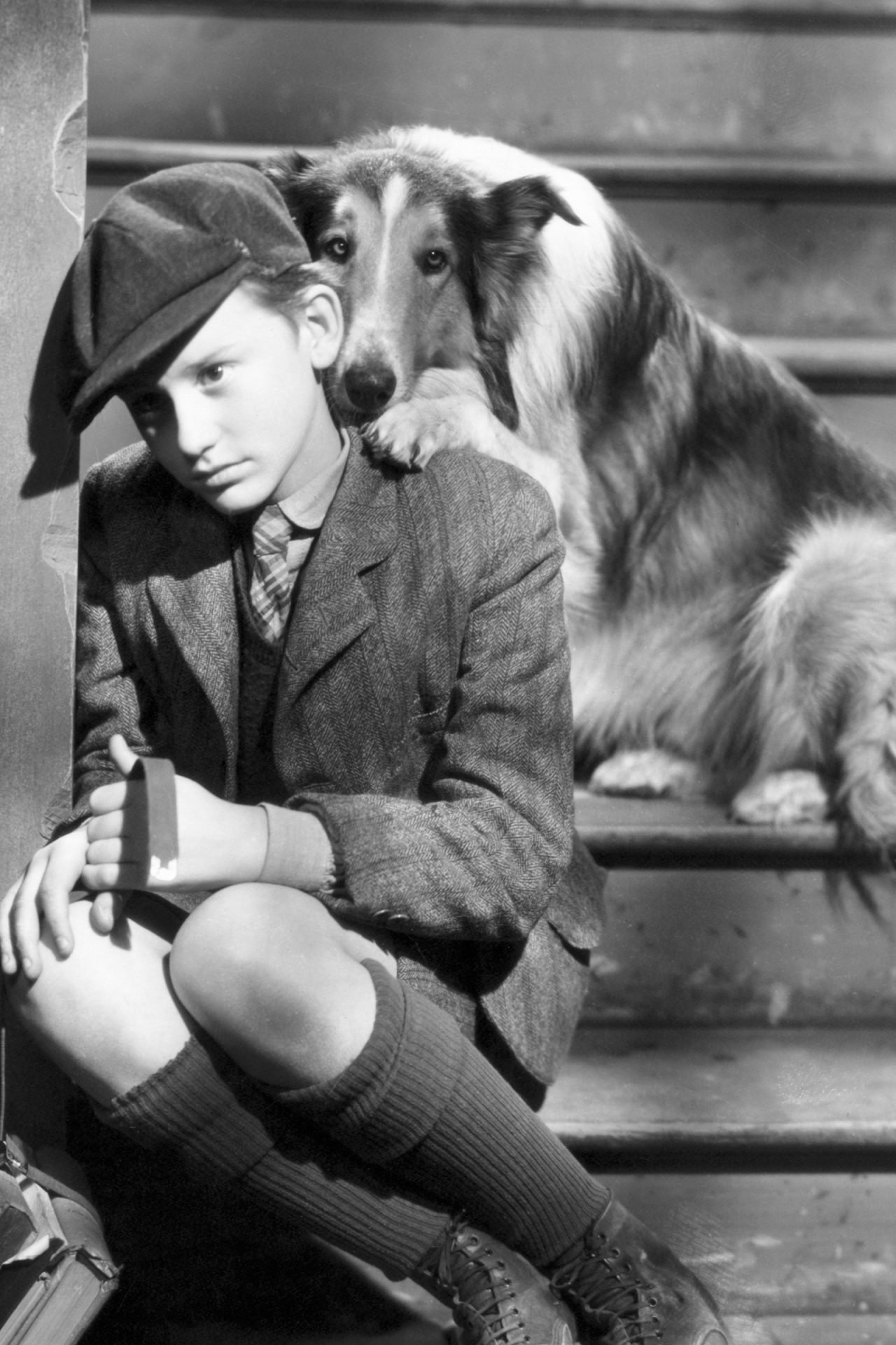2021_03_lassie1-scaled.jpg
