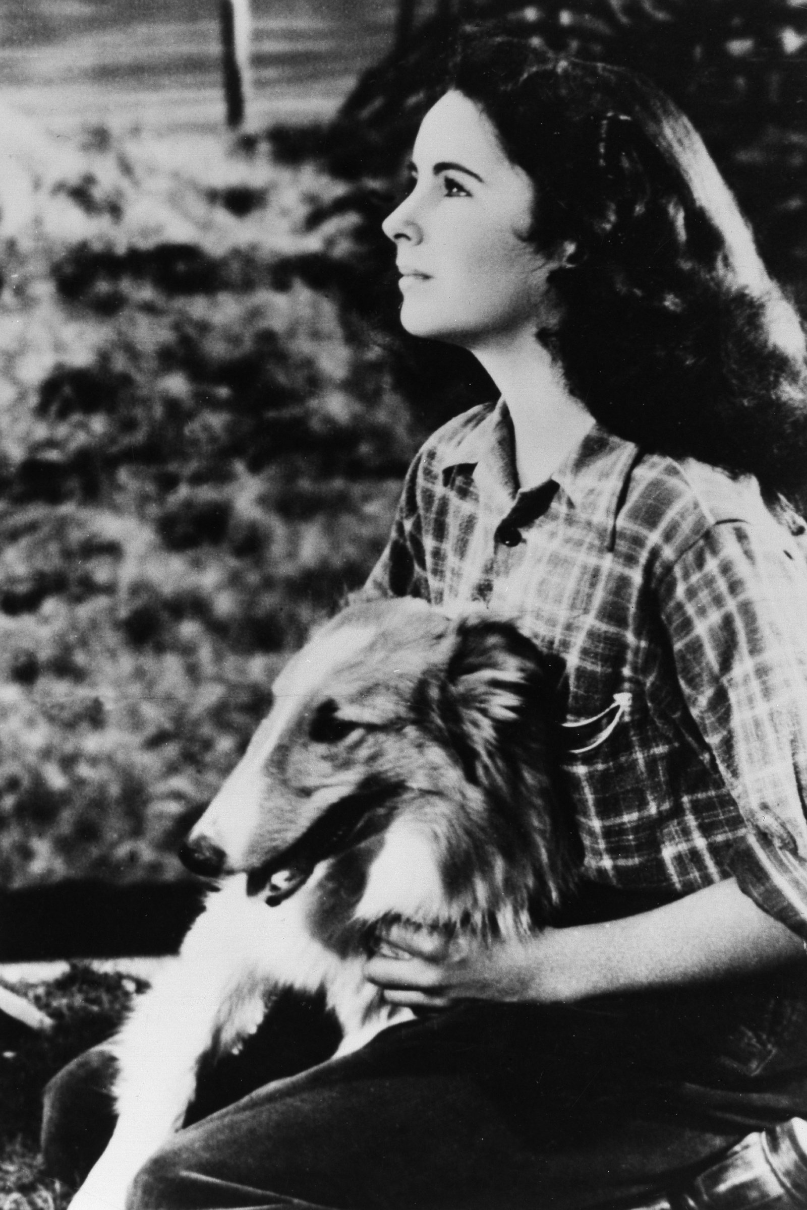 Lassie