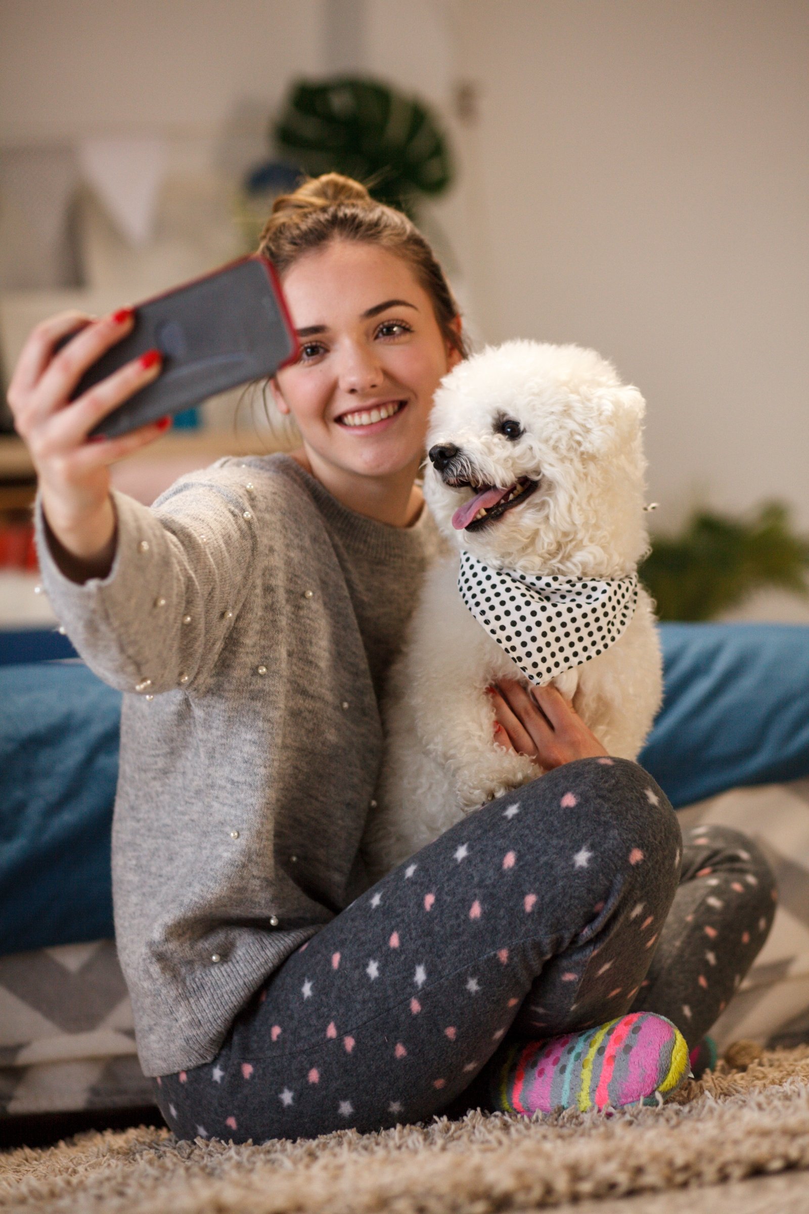 fénykép selfie otthon gazdi
