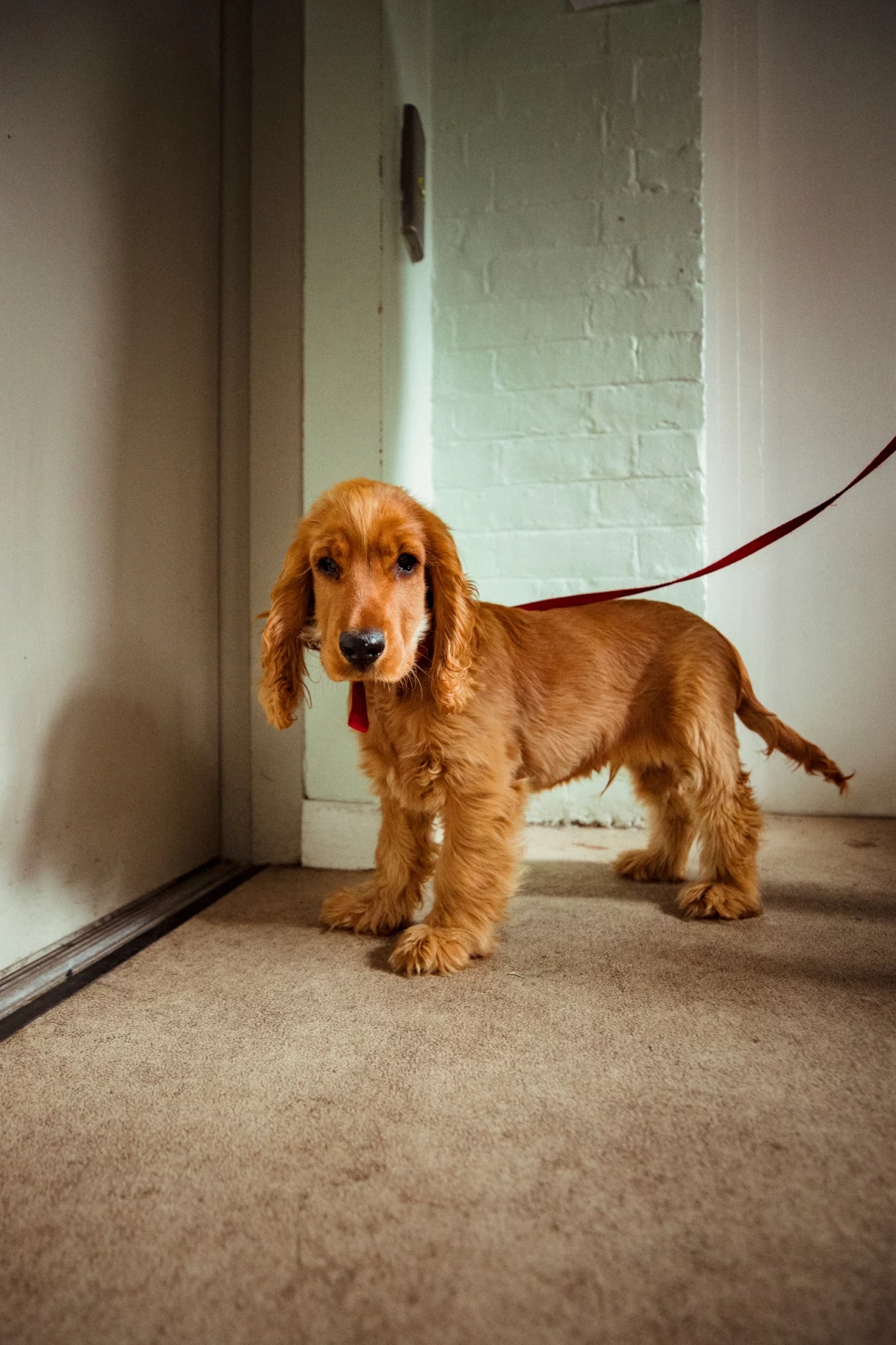 2021_04_lift-felelem-scaled.webp