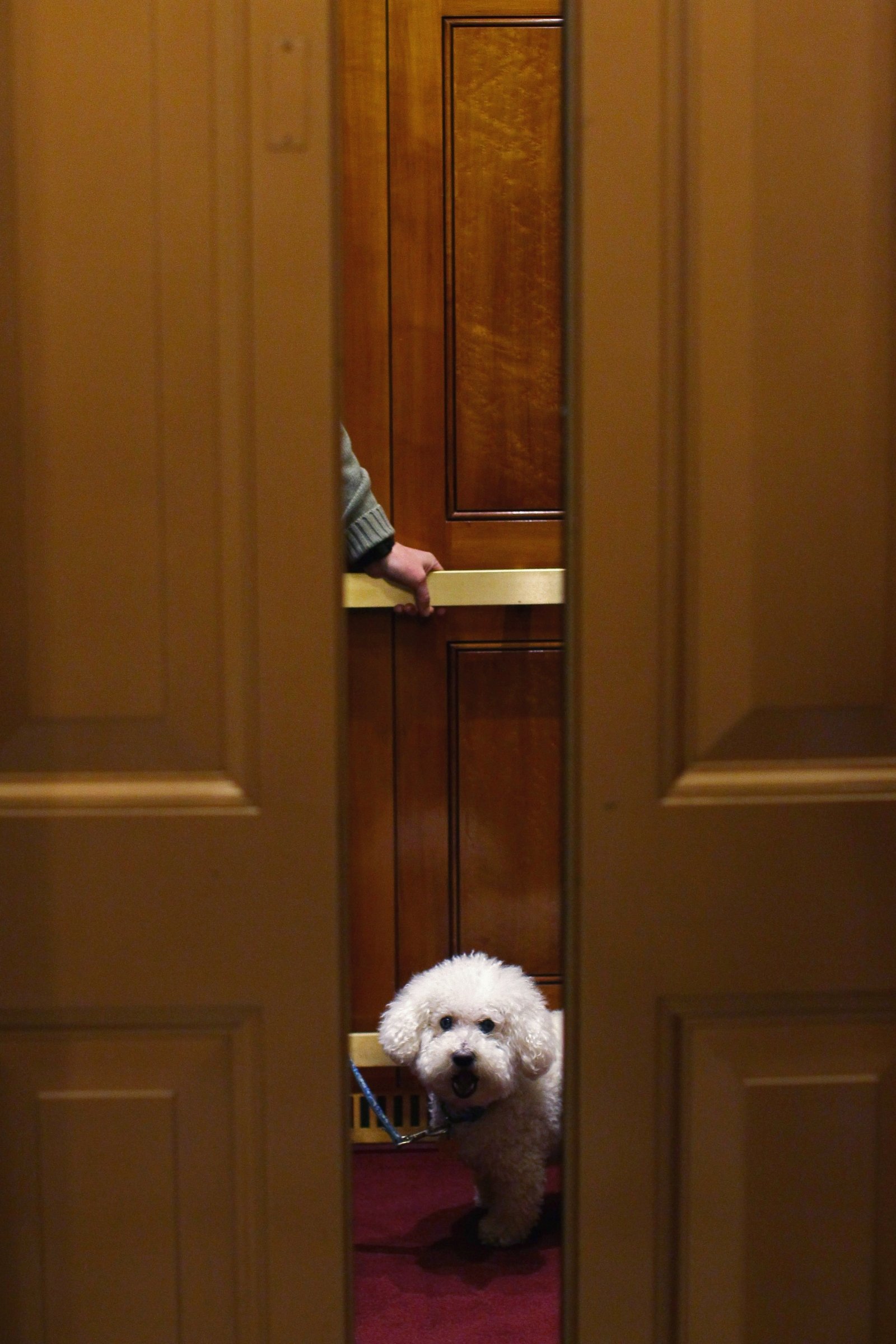 lift utazás