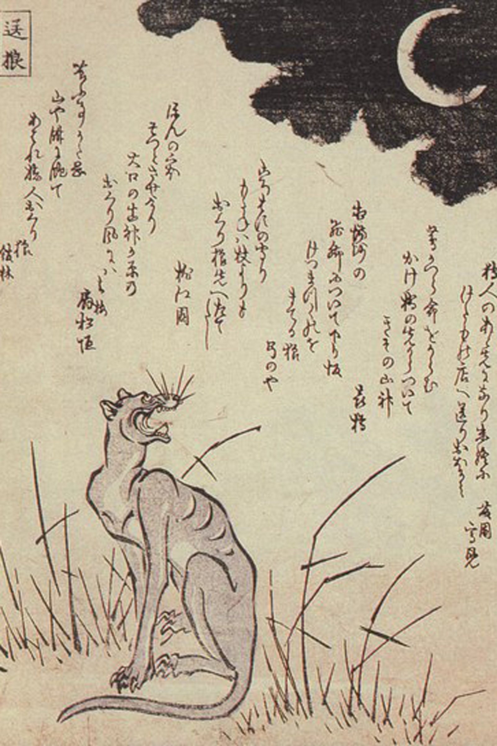 okami inu