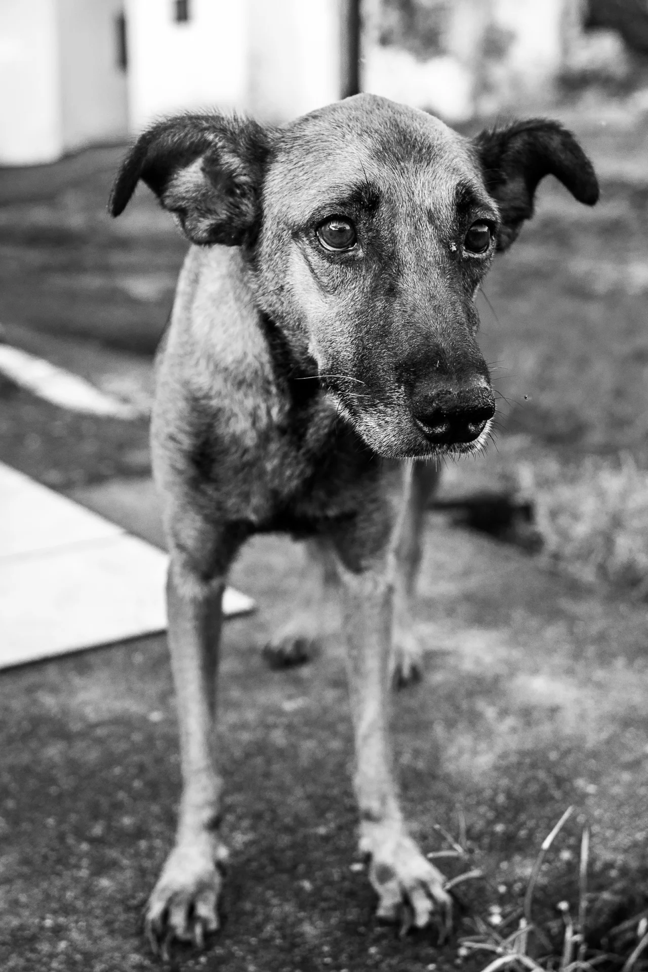 2021_05_gettyimages-1207479308-scaled.webp