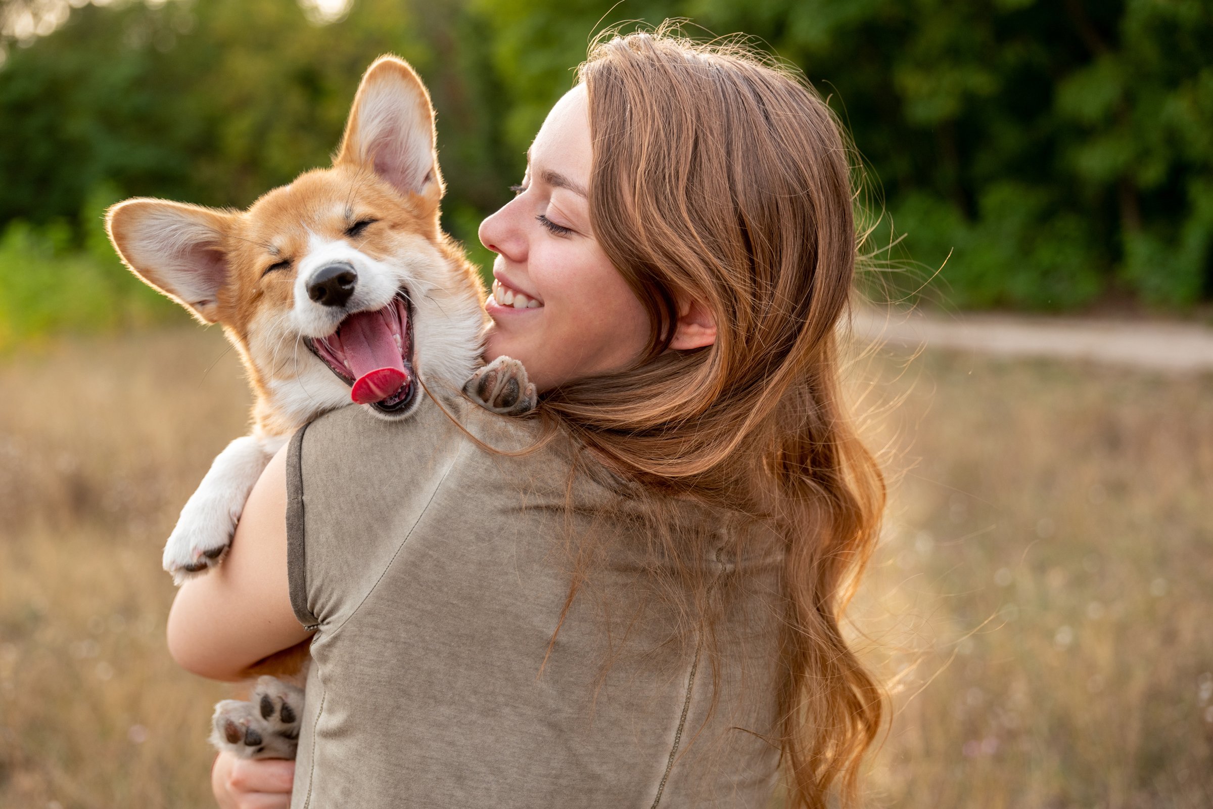 szeretet ölel boldog corgi gazda nő