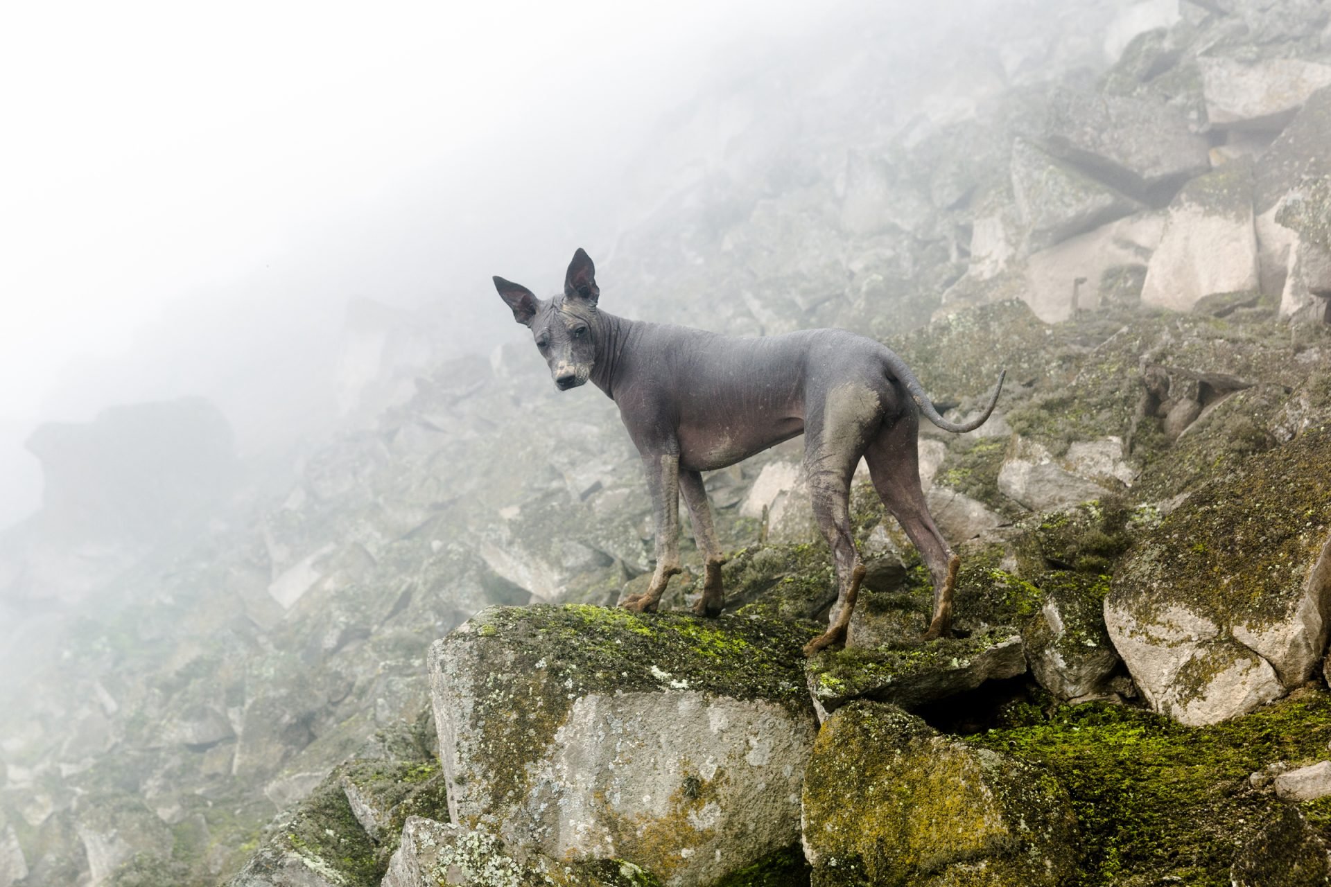 2021_05_gettyimages-1281115929-scaled.jpg