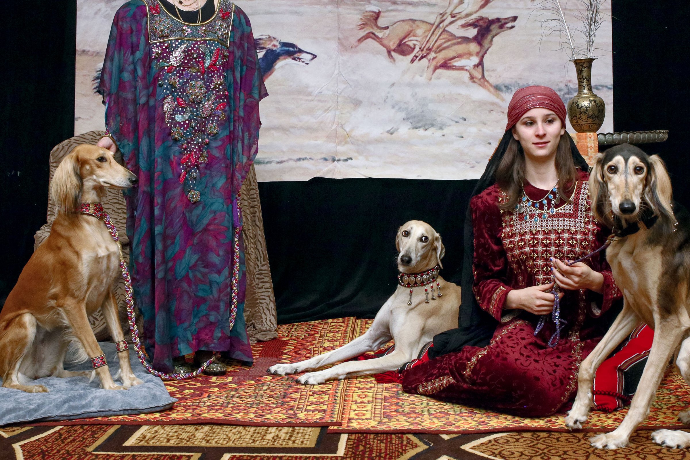 saluki perzsa agár gazella antilop vadászat
