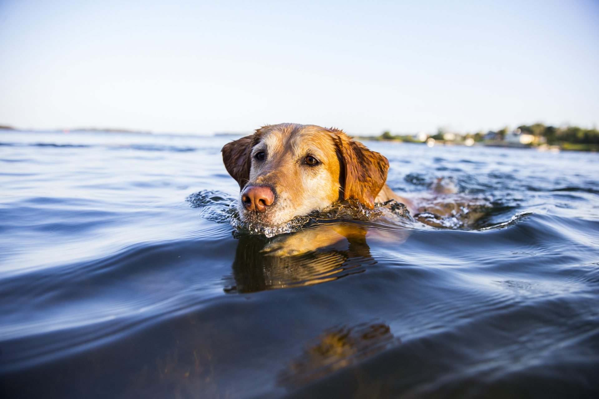 2021_05_gettyimages-515685369-scaled.jpg