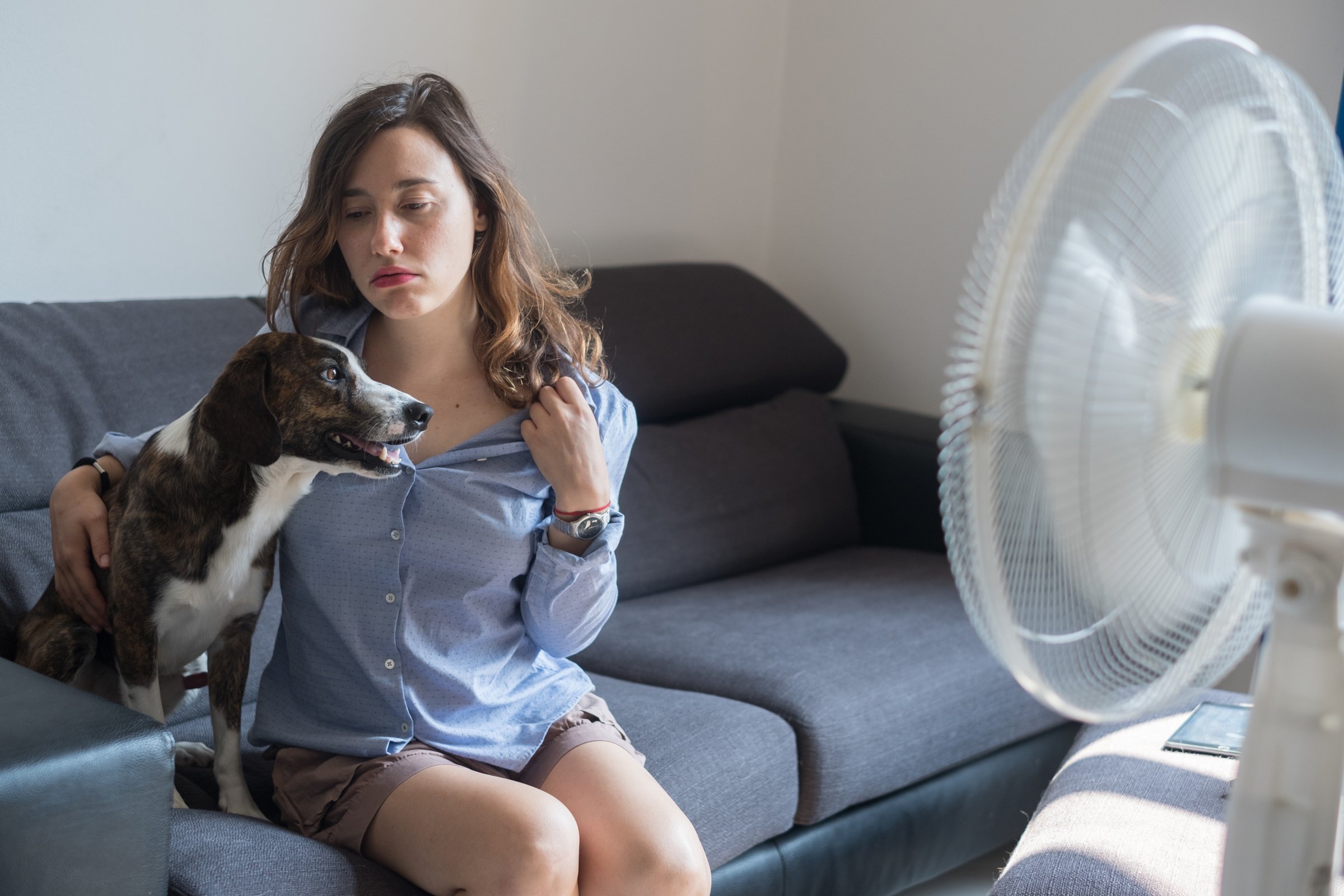 nő ventilátor kutya meleg