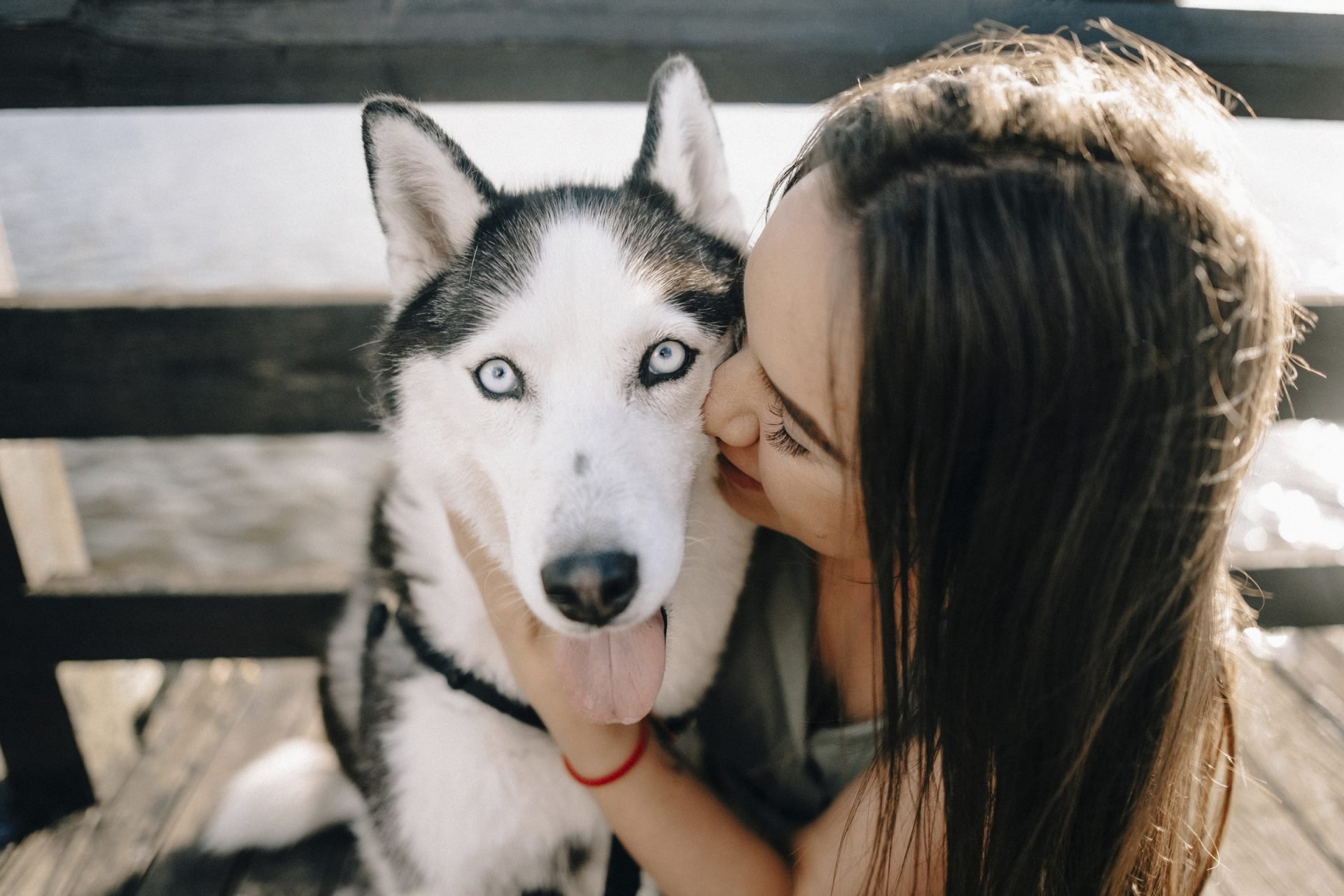 2021_05_husky-gazda-scaled.jpg