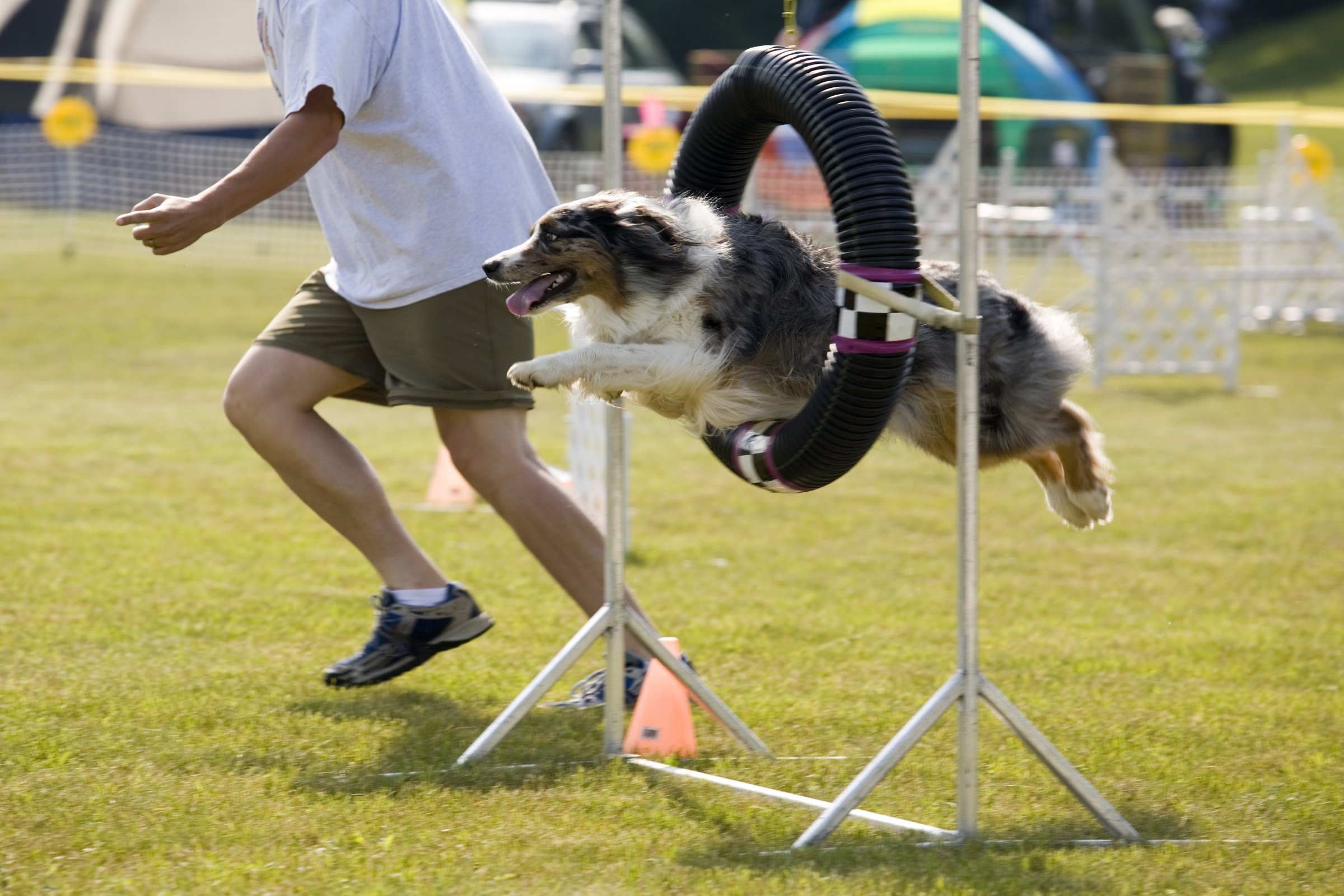 2021_06_aussie1.jpg