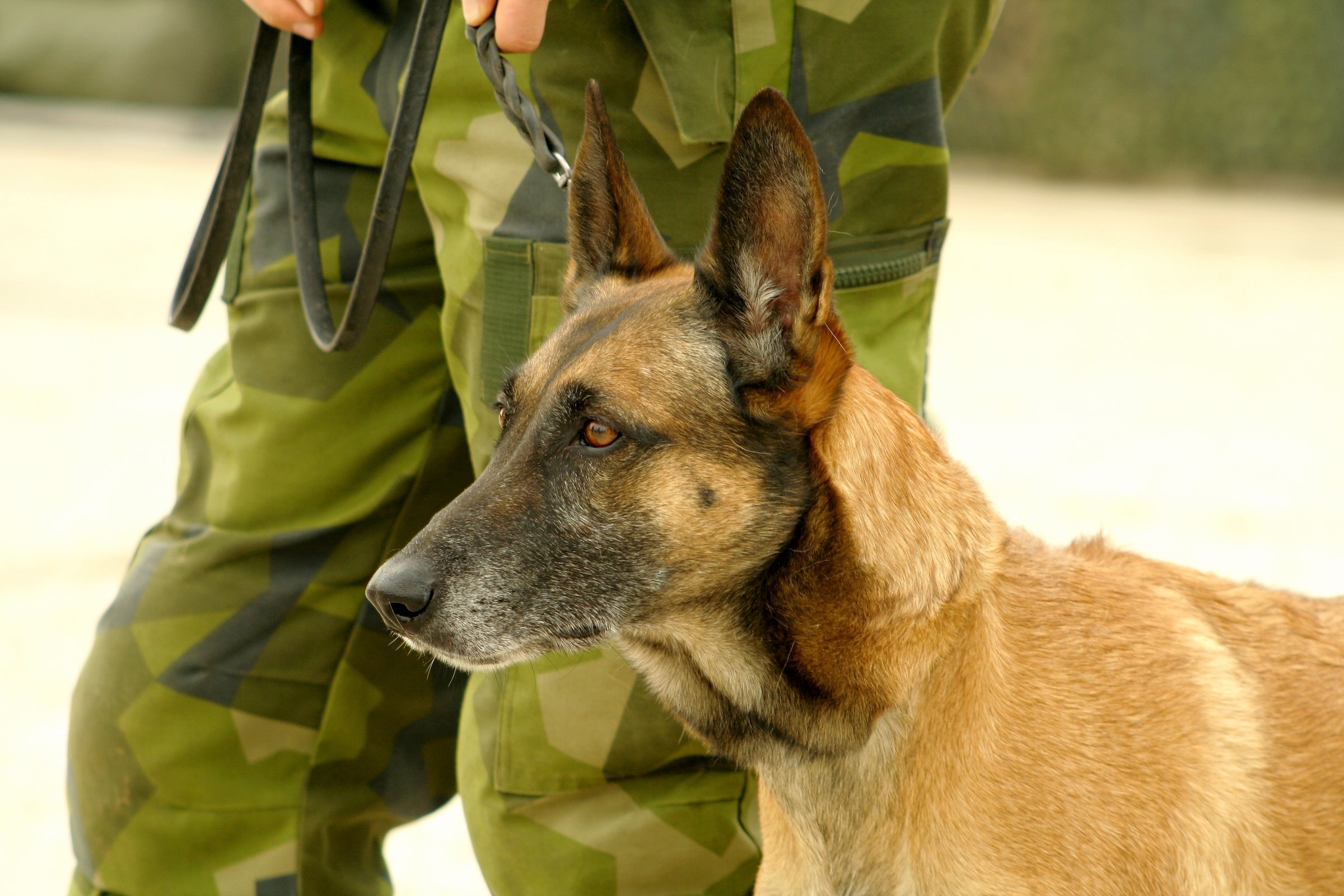 2021_06_bombakereso-kuty-3-jo.jpg