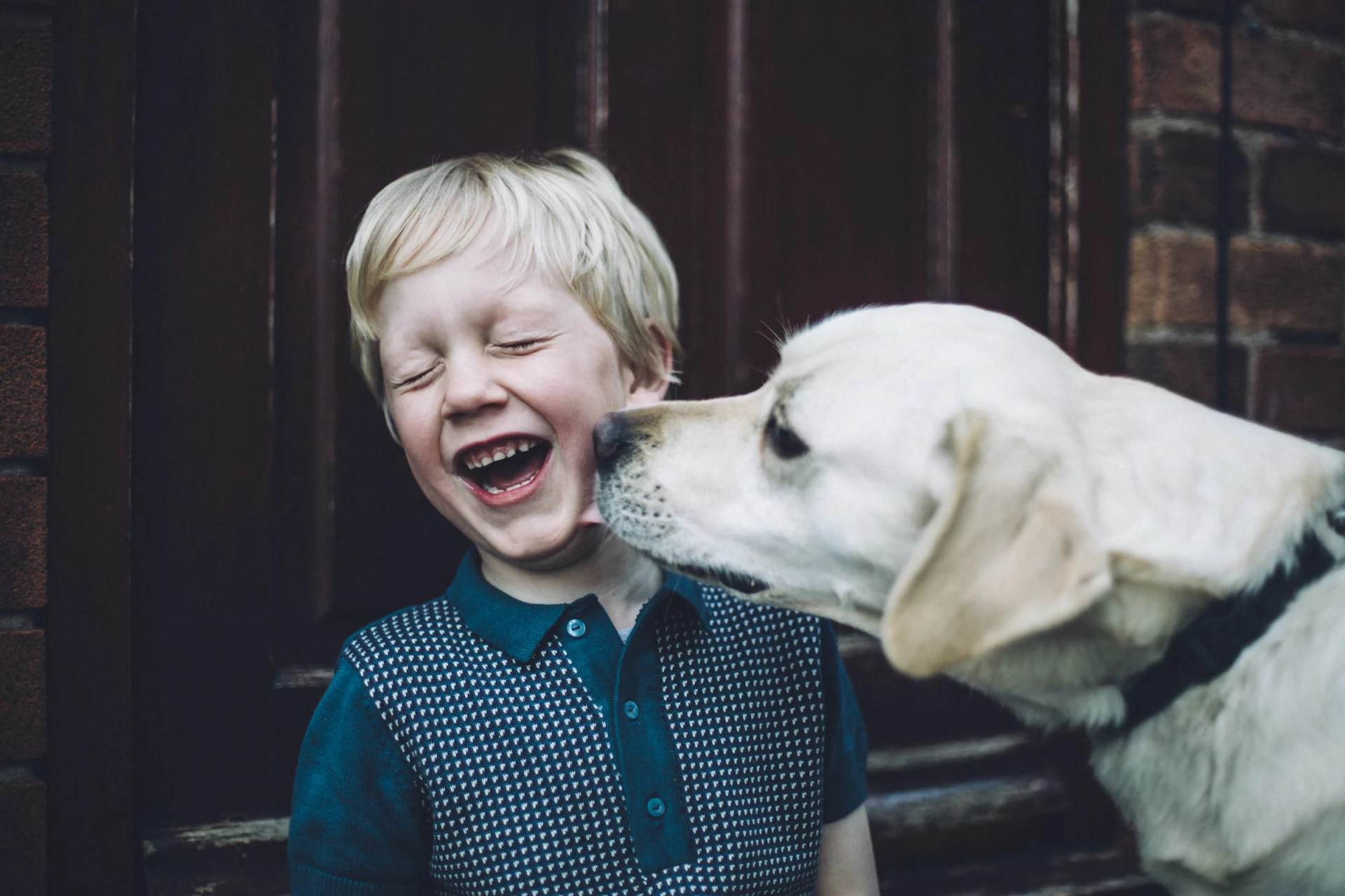 2021_06_child-dog-1600-scaled.webp