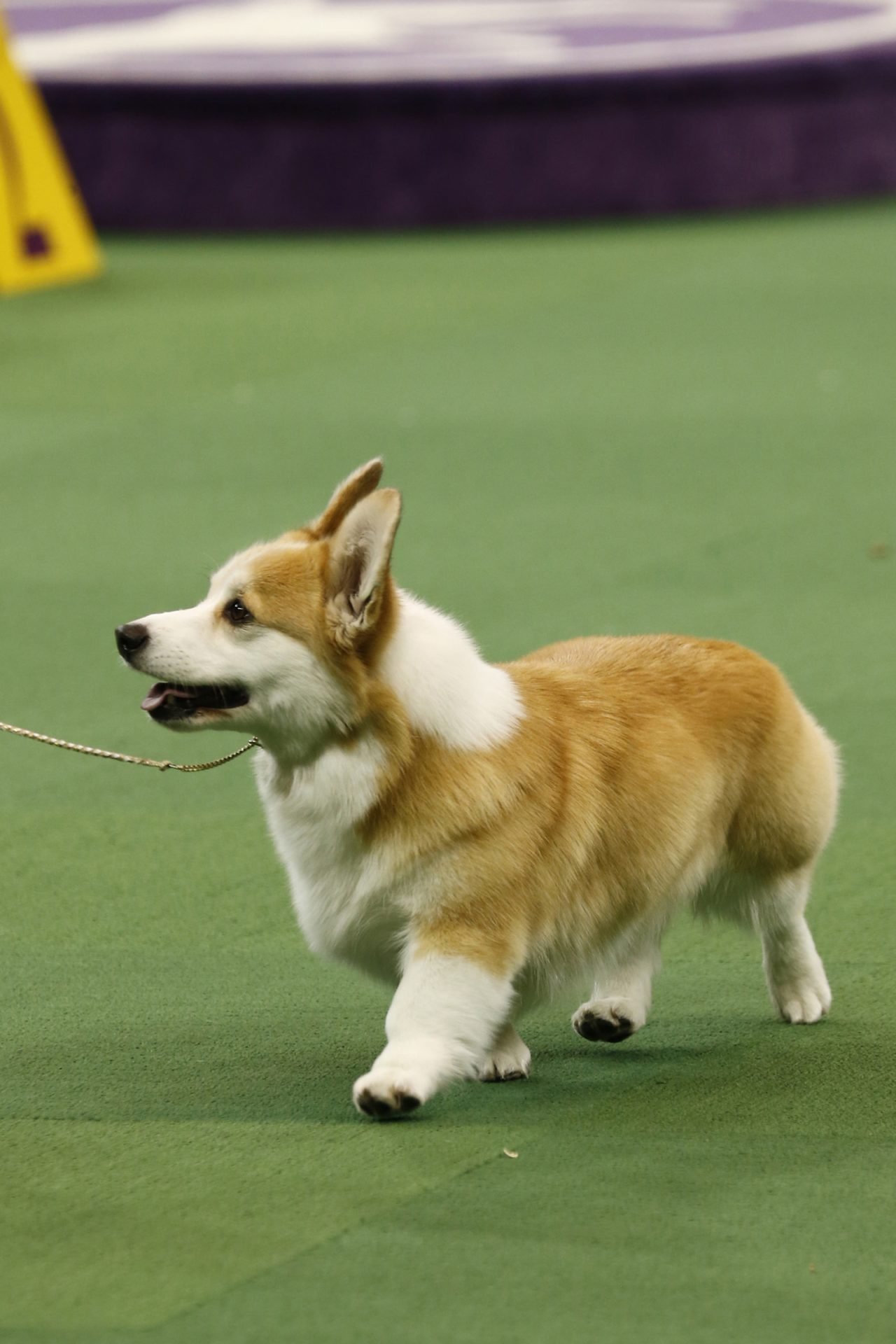 2021_06_gettyimages-161599538-scaled.jpg