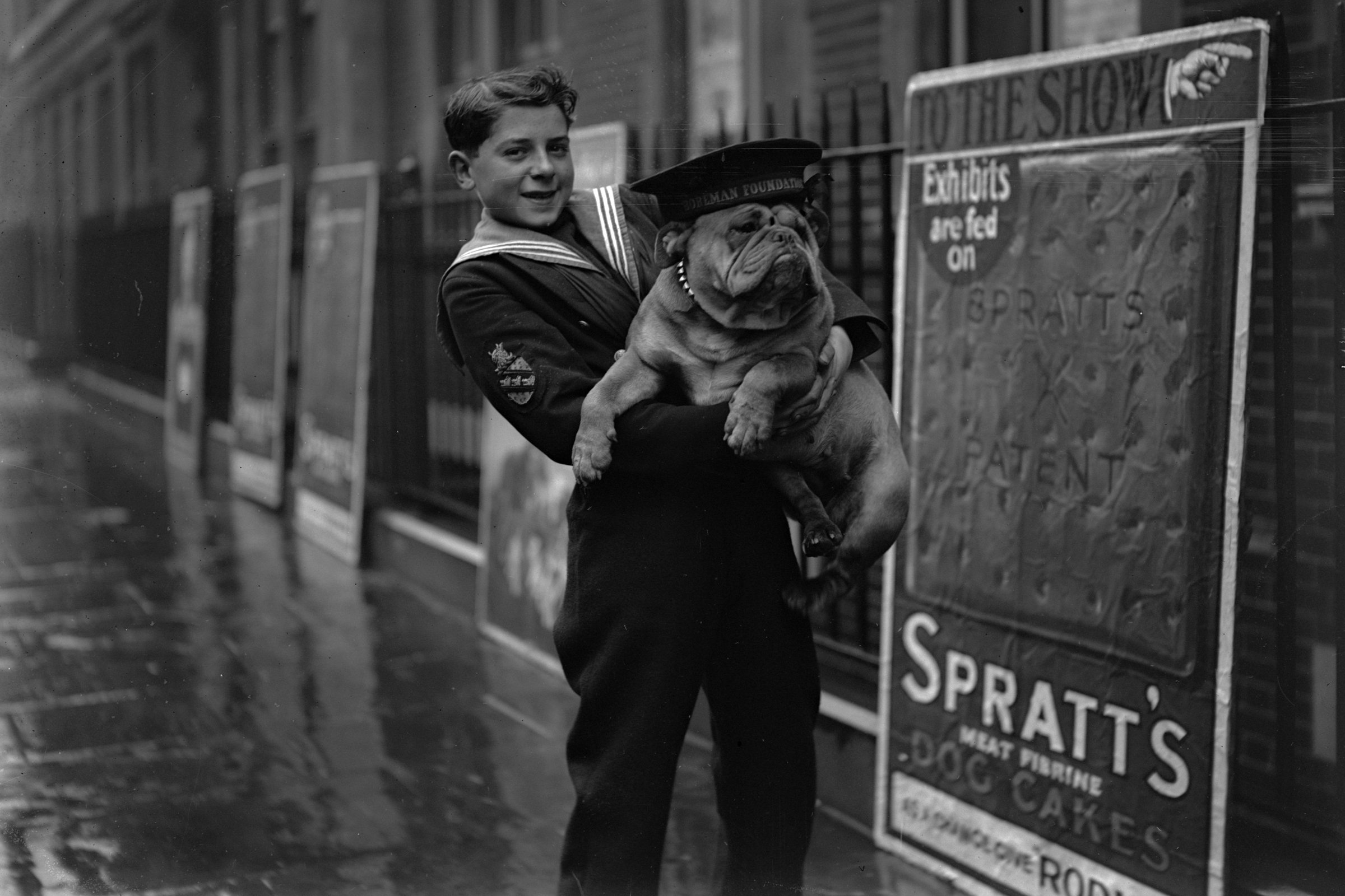 bulldog spratt kutyakeksz reklám márka