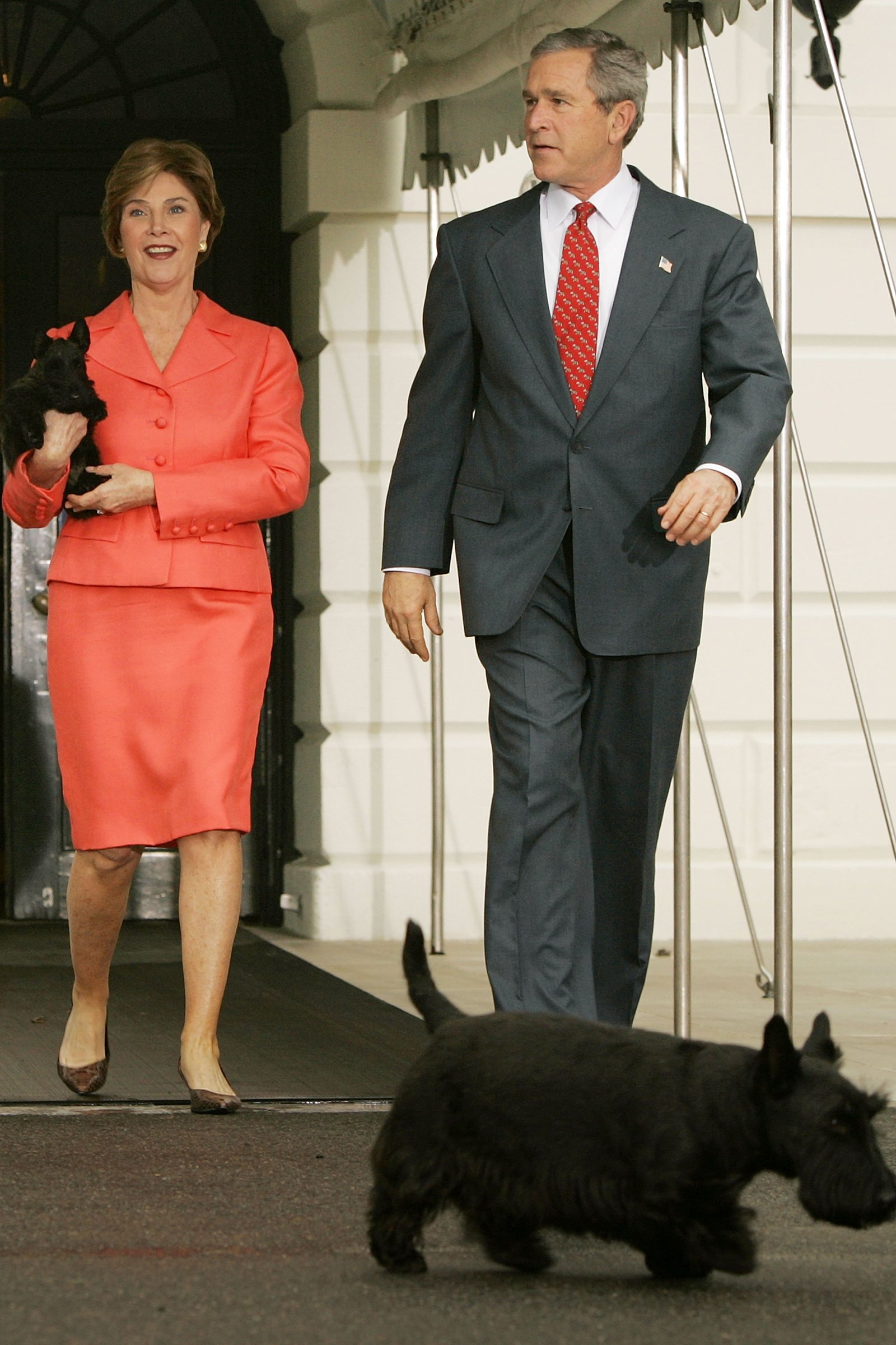 Bush skót terrierek