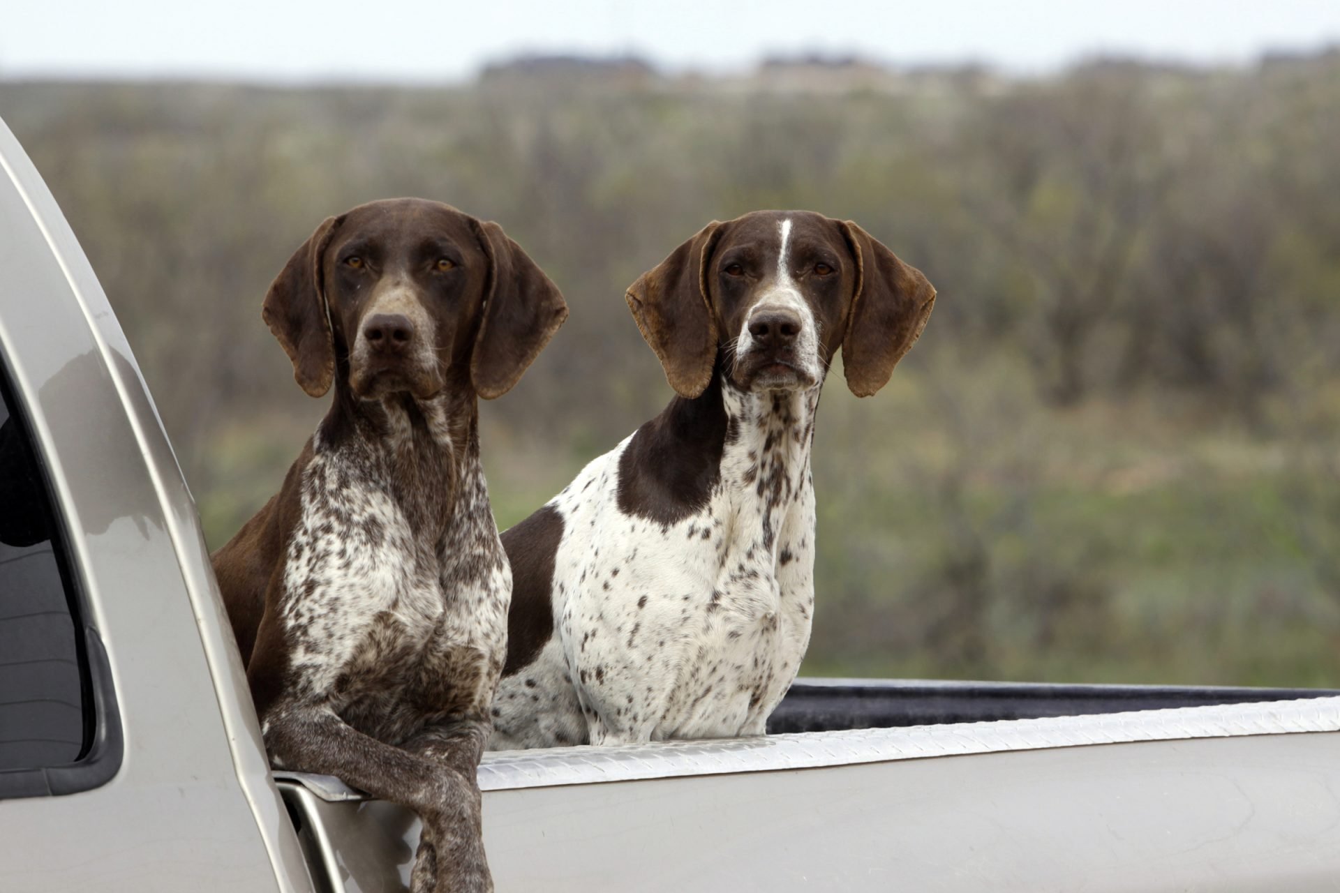 2021_06_gettyimages-534705909-scaled.jpg