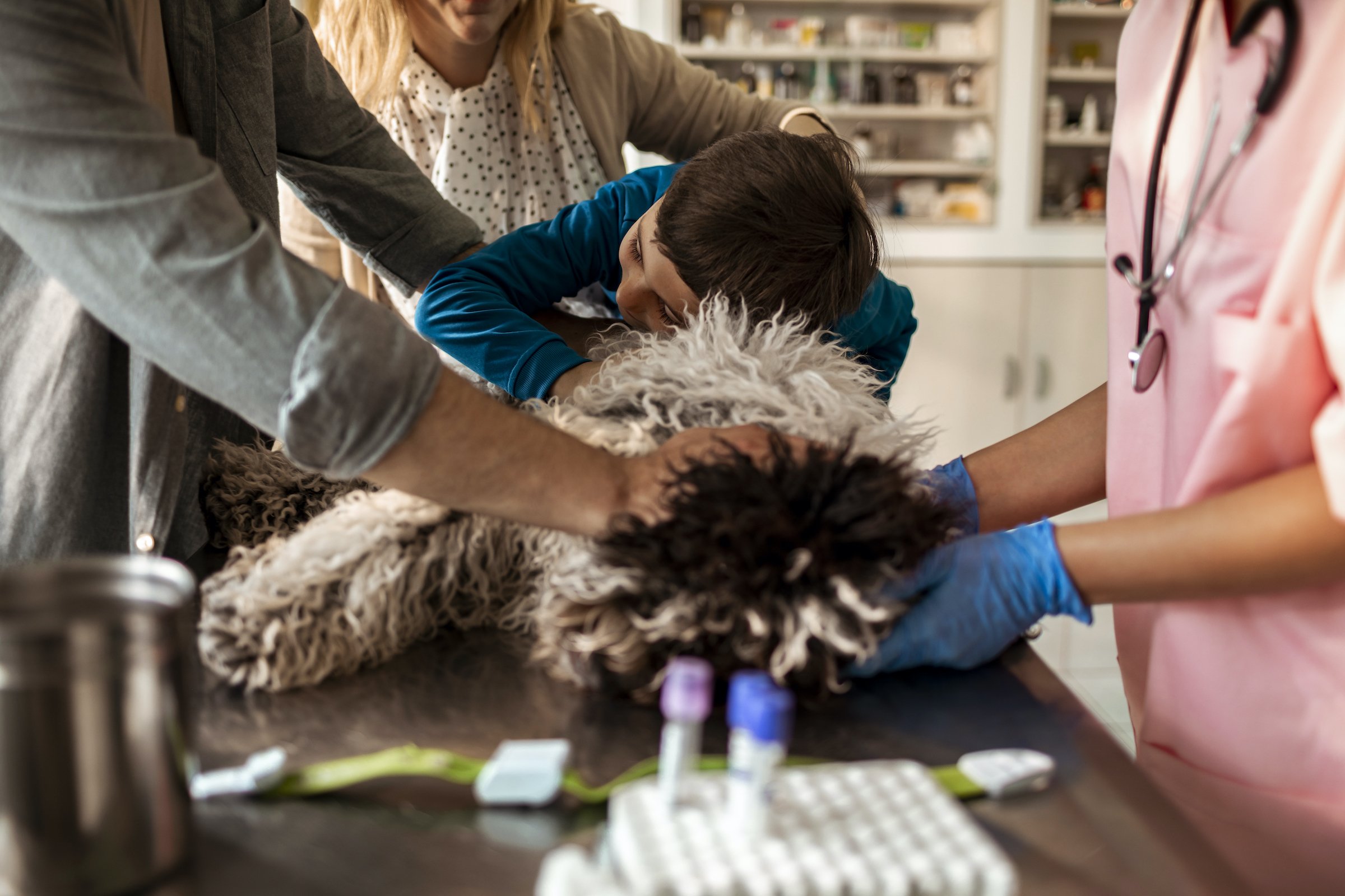 Family taking their dog to the Vet