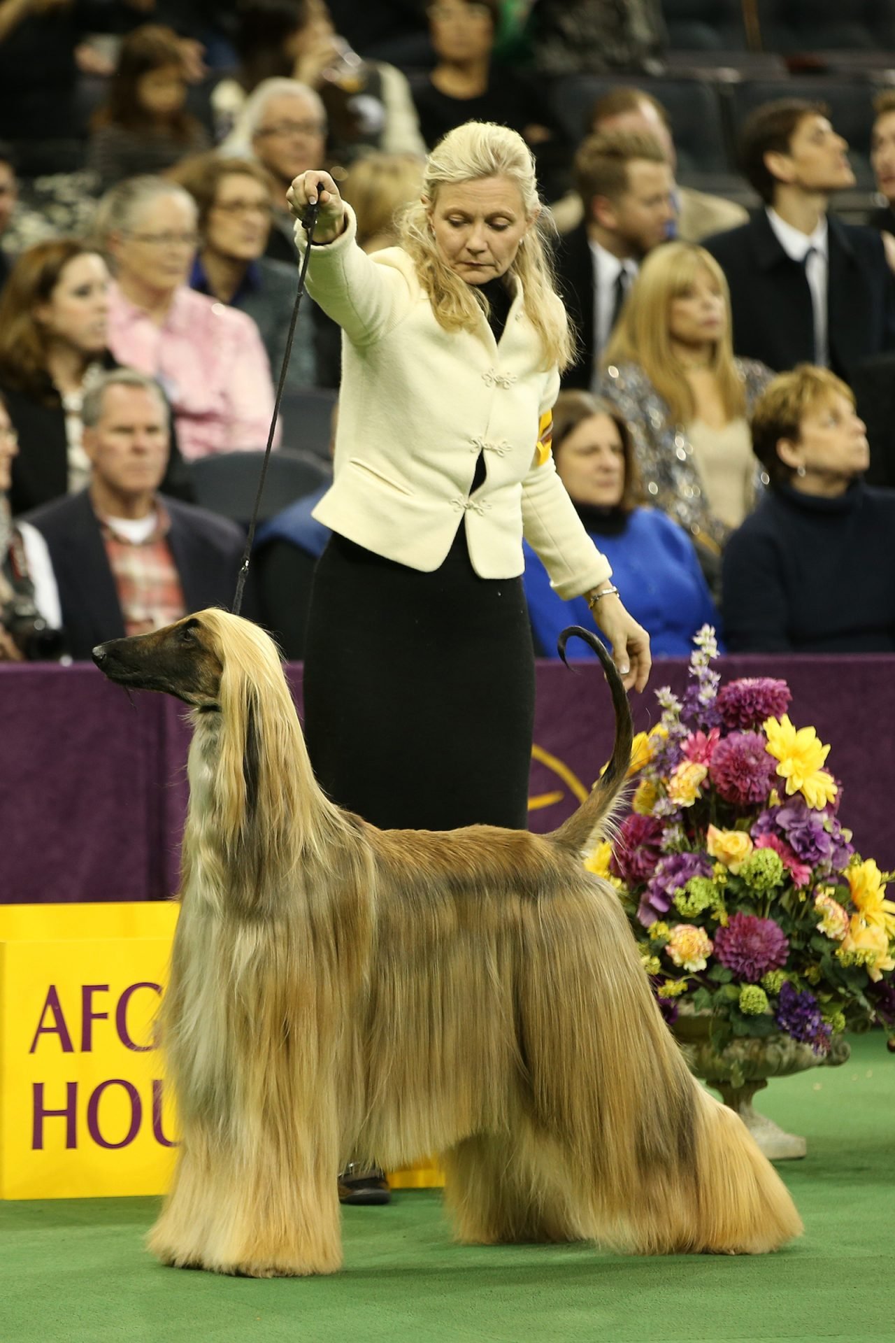 2021_07_gettyimages-468479637-scaled.jpg