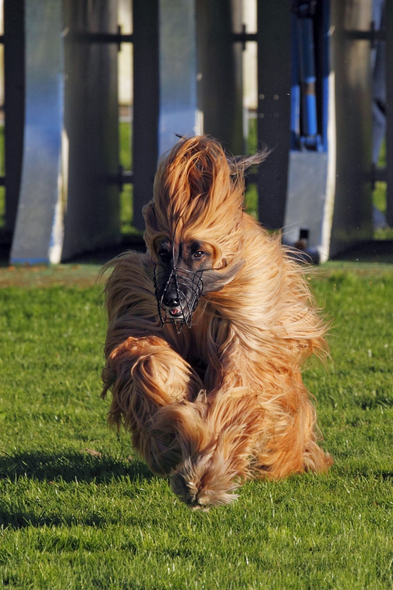 2021_07_gettyimages-548806535-scaled.jpg