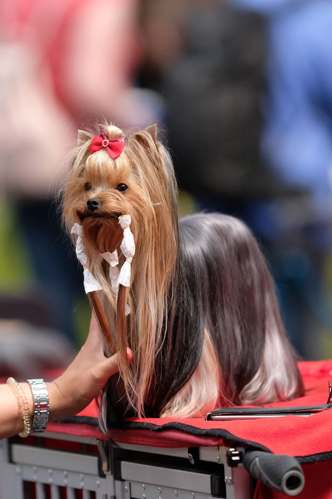 2021_07_gettyimages-987850414-scaled.jpg