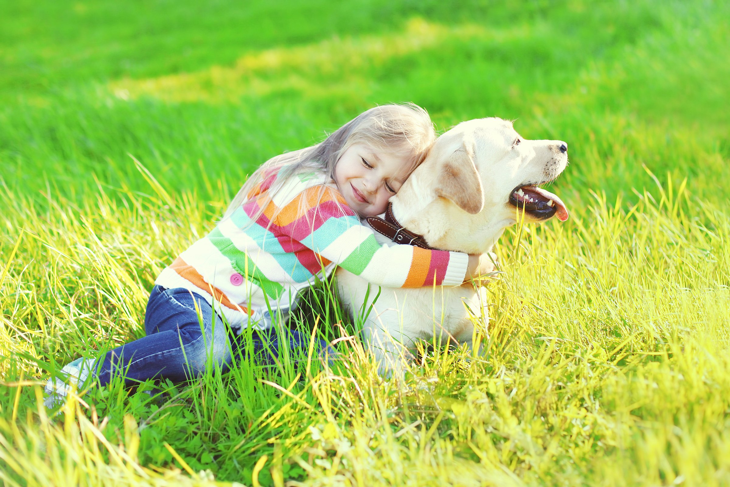 Happy child hugging labrador retriever dog on grass in summer