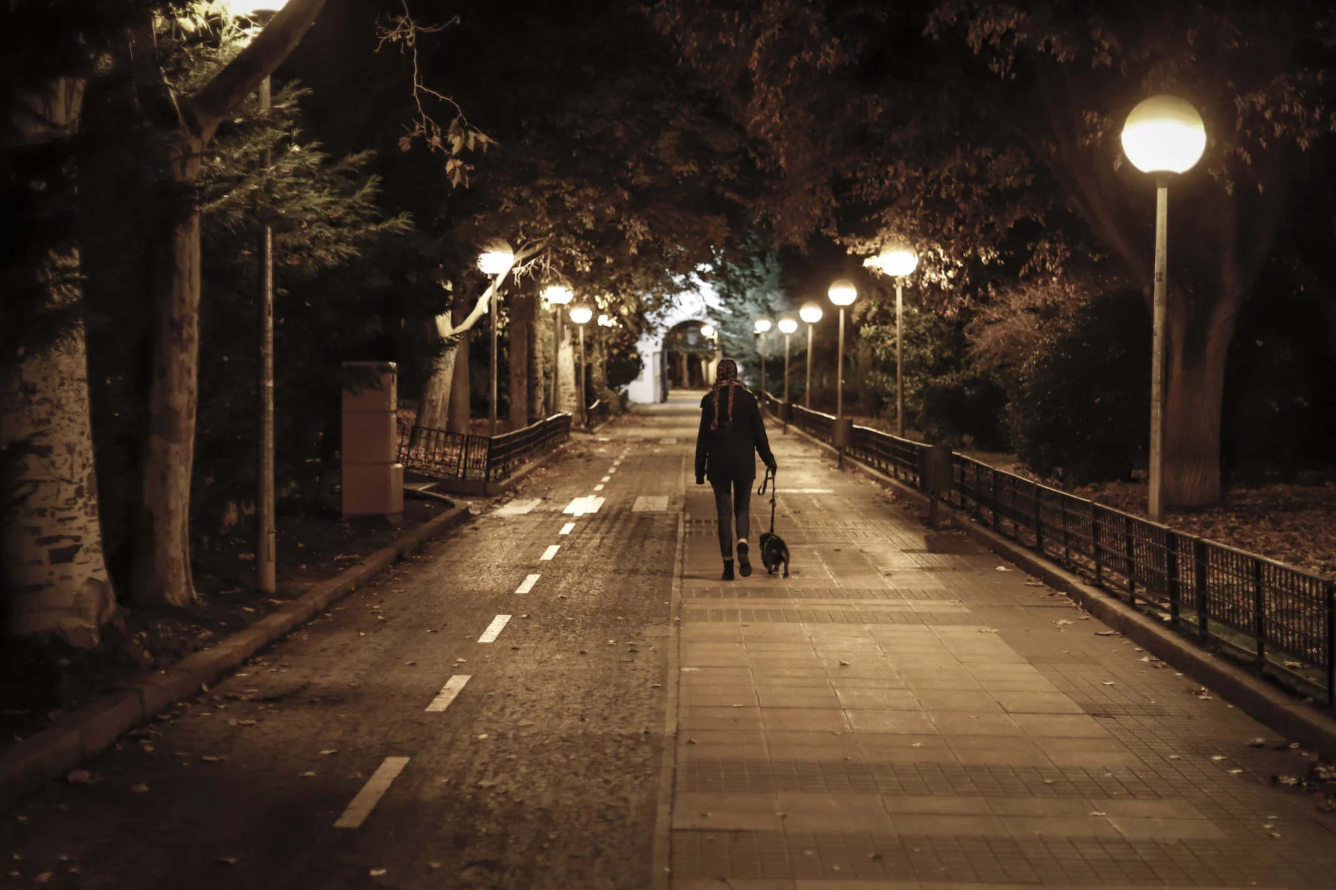 2021_07_kutya-sotet-3-scaled.webp