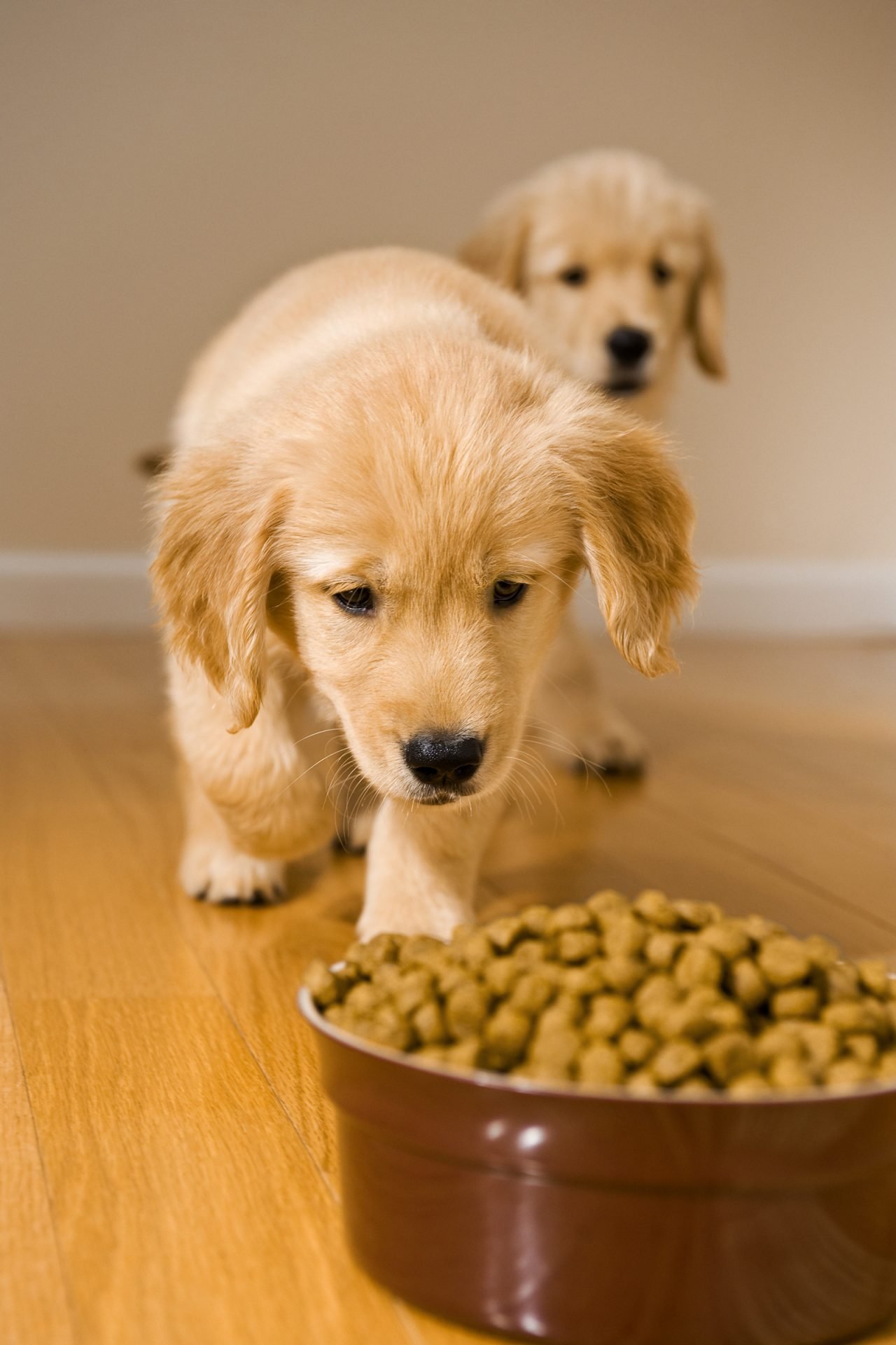 2021_08_gettyimages-148176938-scaled.jpg