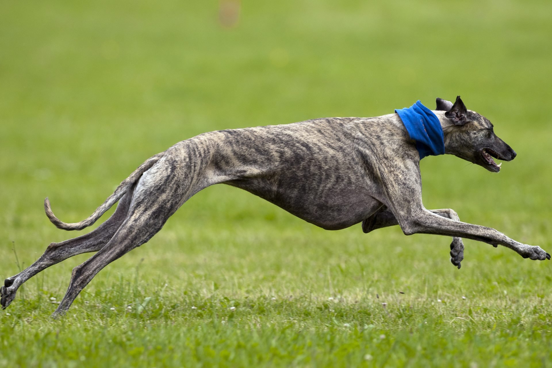2021_08_gettyimages-155006650-scaled.jpg