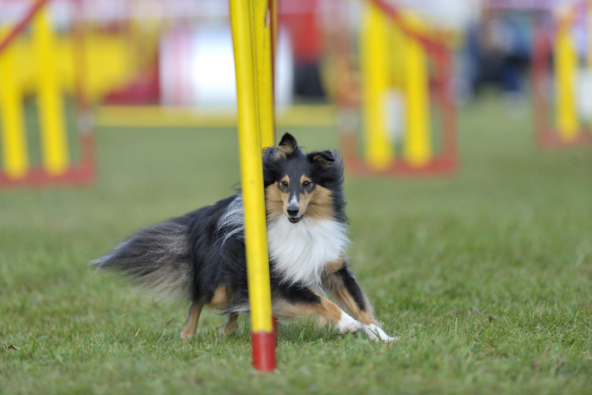 2021_08_gettyimages-184881706-scaled.jpg