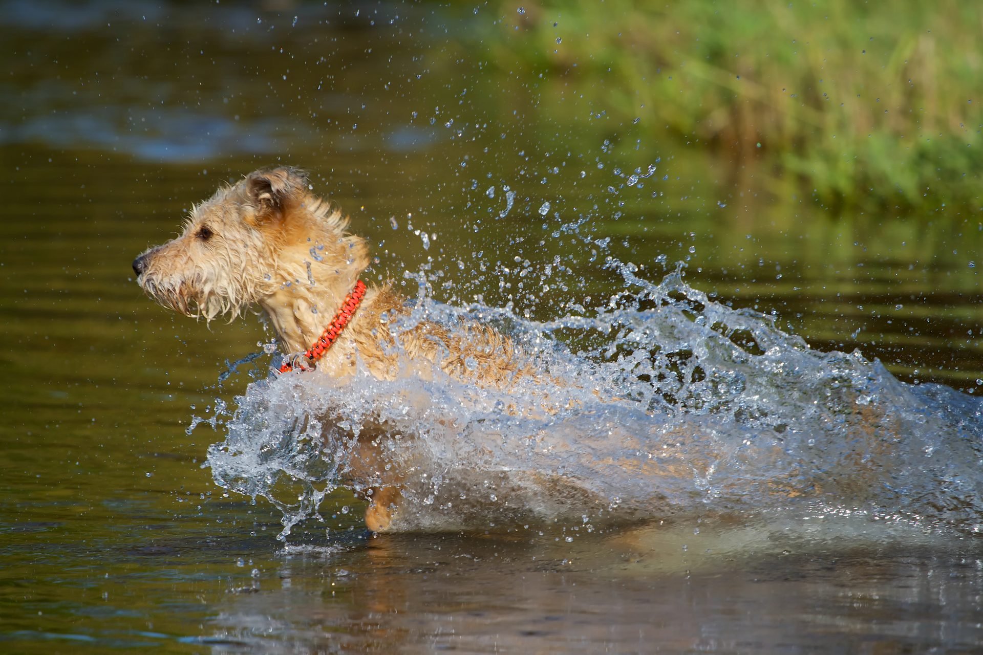 2021_08_gettyimages-451545567-scaled.jpg