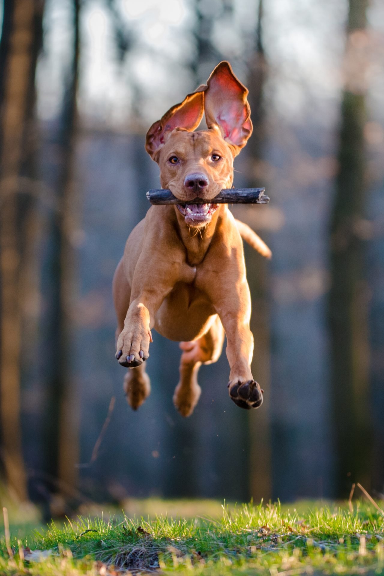 2021_08_gettyimages-658045822-scaled.jpg