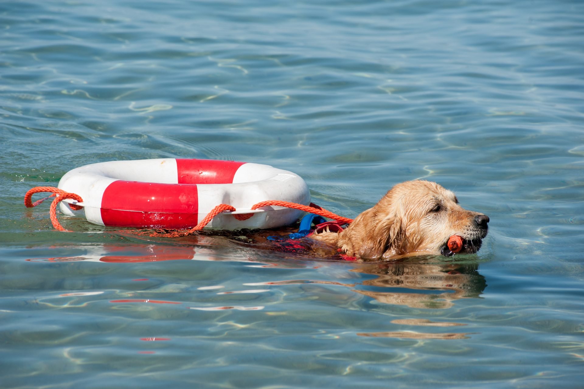2021_08_gettyimages-800451668-scaled.jpg