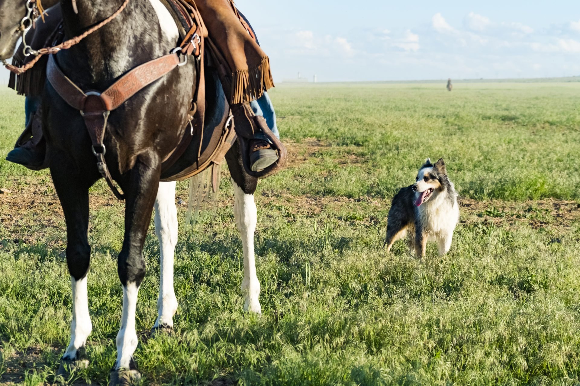 2021_08_gettyimages-981250982-scaled.jpg