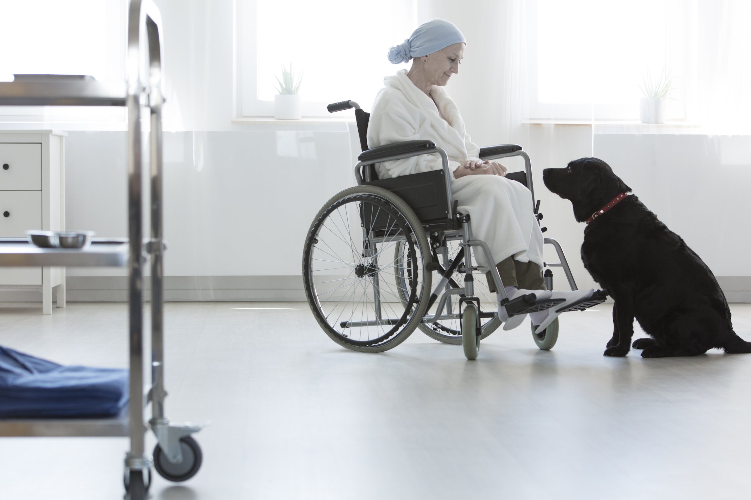 hospice