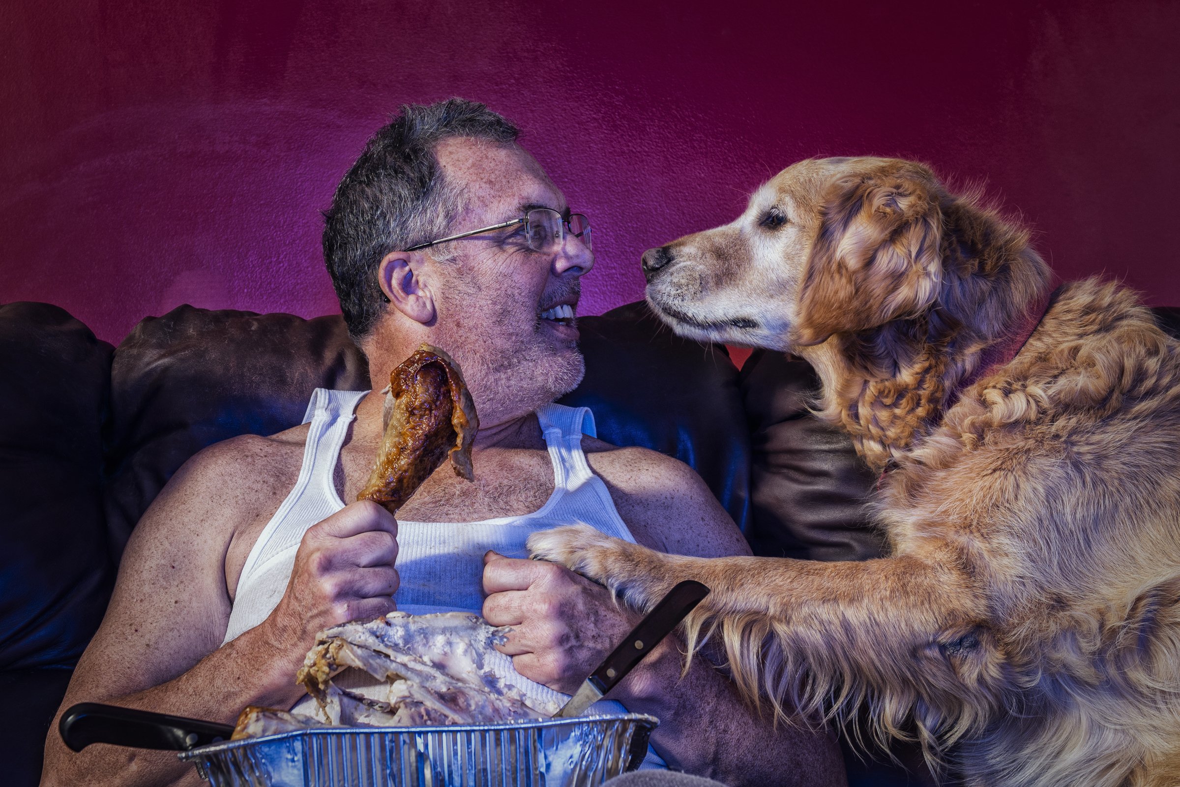 eszik csirke kajál kövér elhízás golden retriever egészségtelen