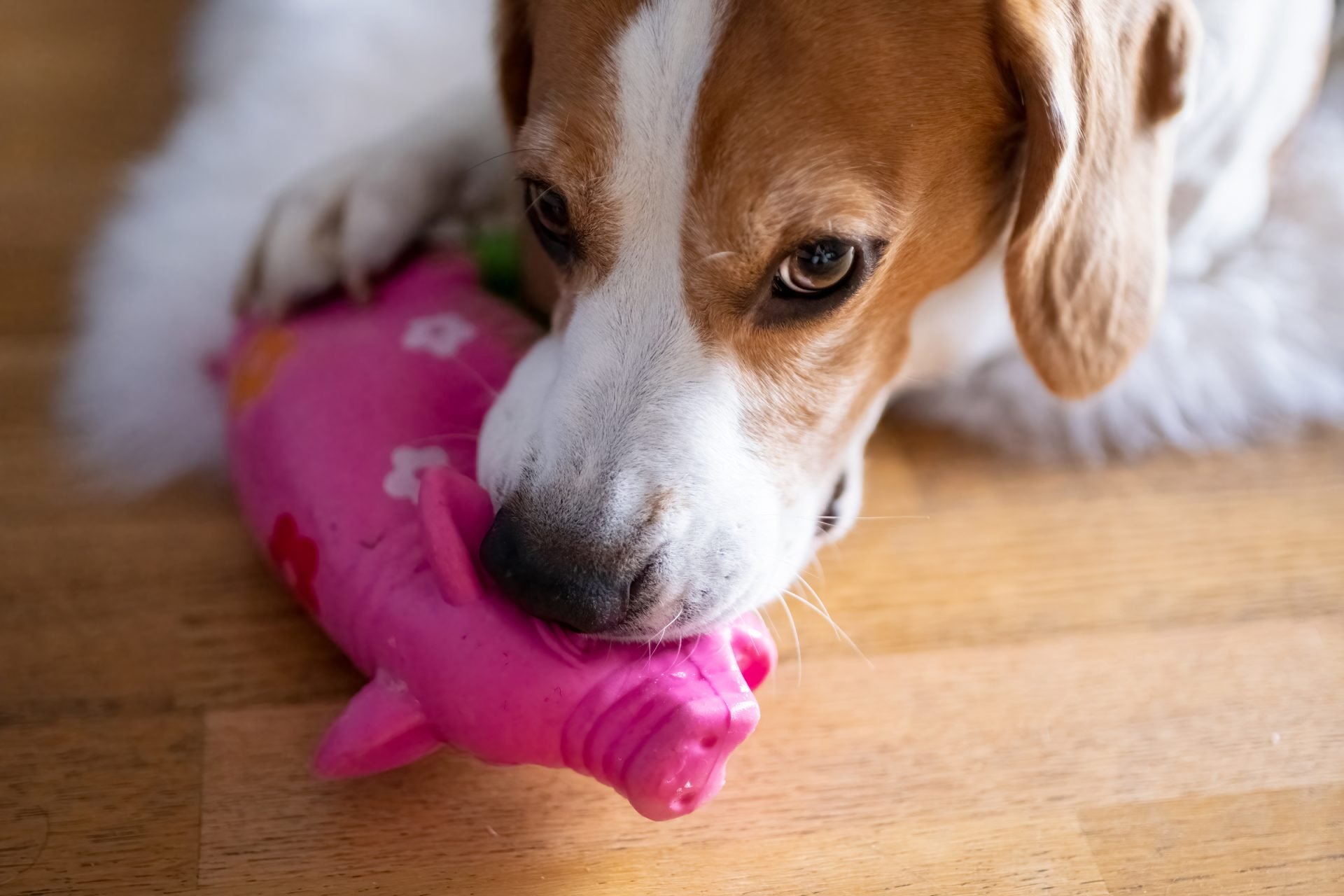 2021_09_gettyimages-1325559364-scaled.jpg