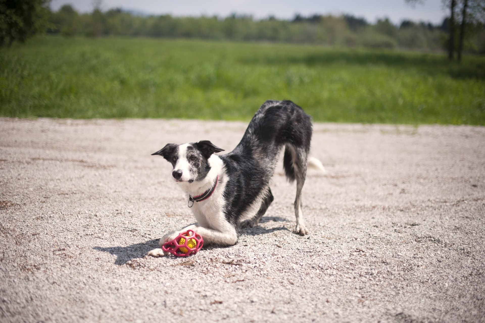 2021_09_gettyimages-636718286-scaled.jpg