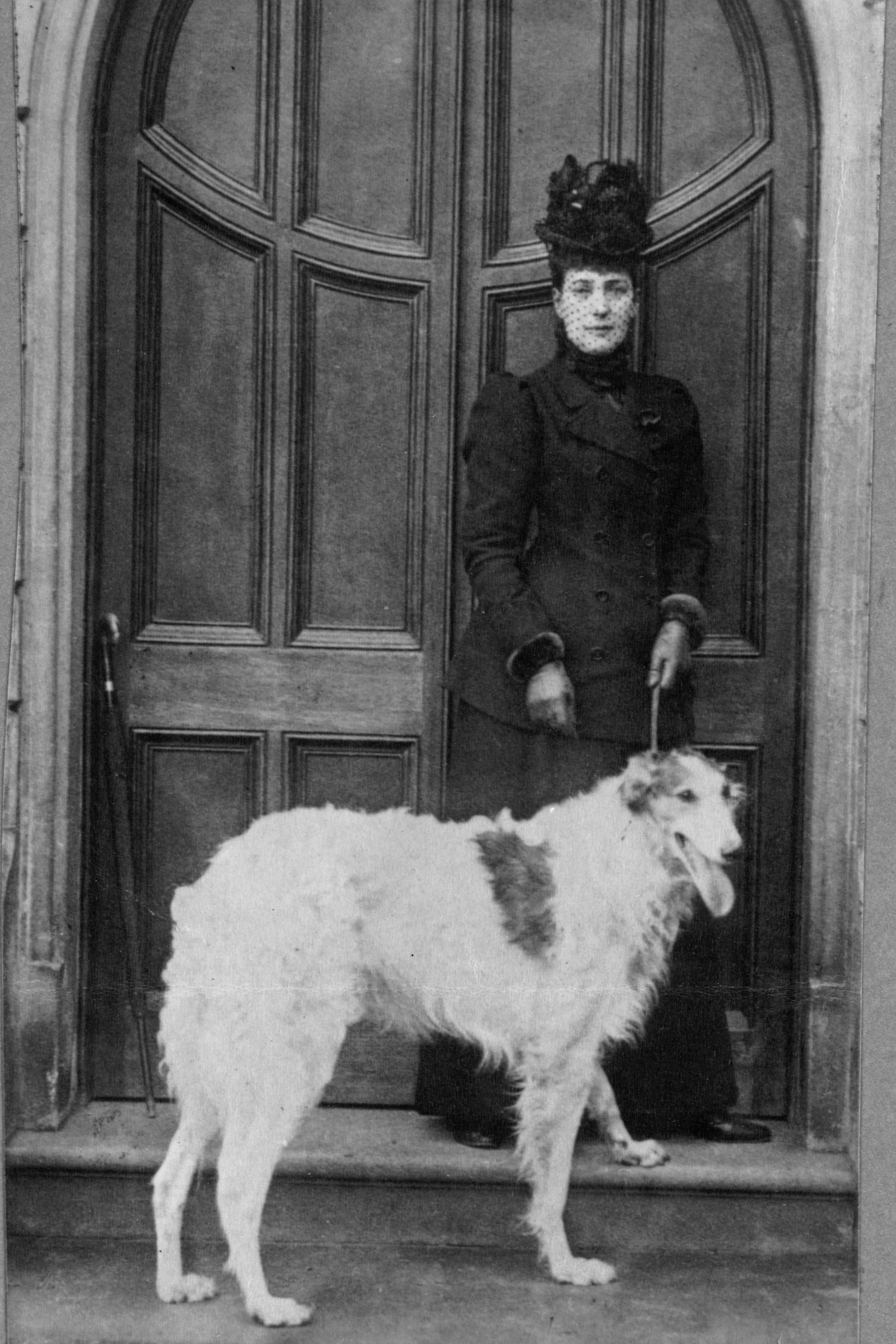 borzoj, orosz agár Dániai Alexandra brit királyné