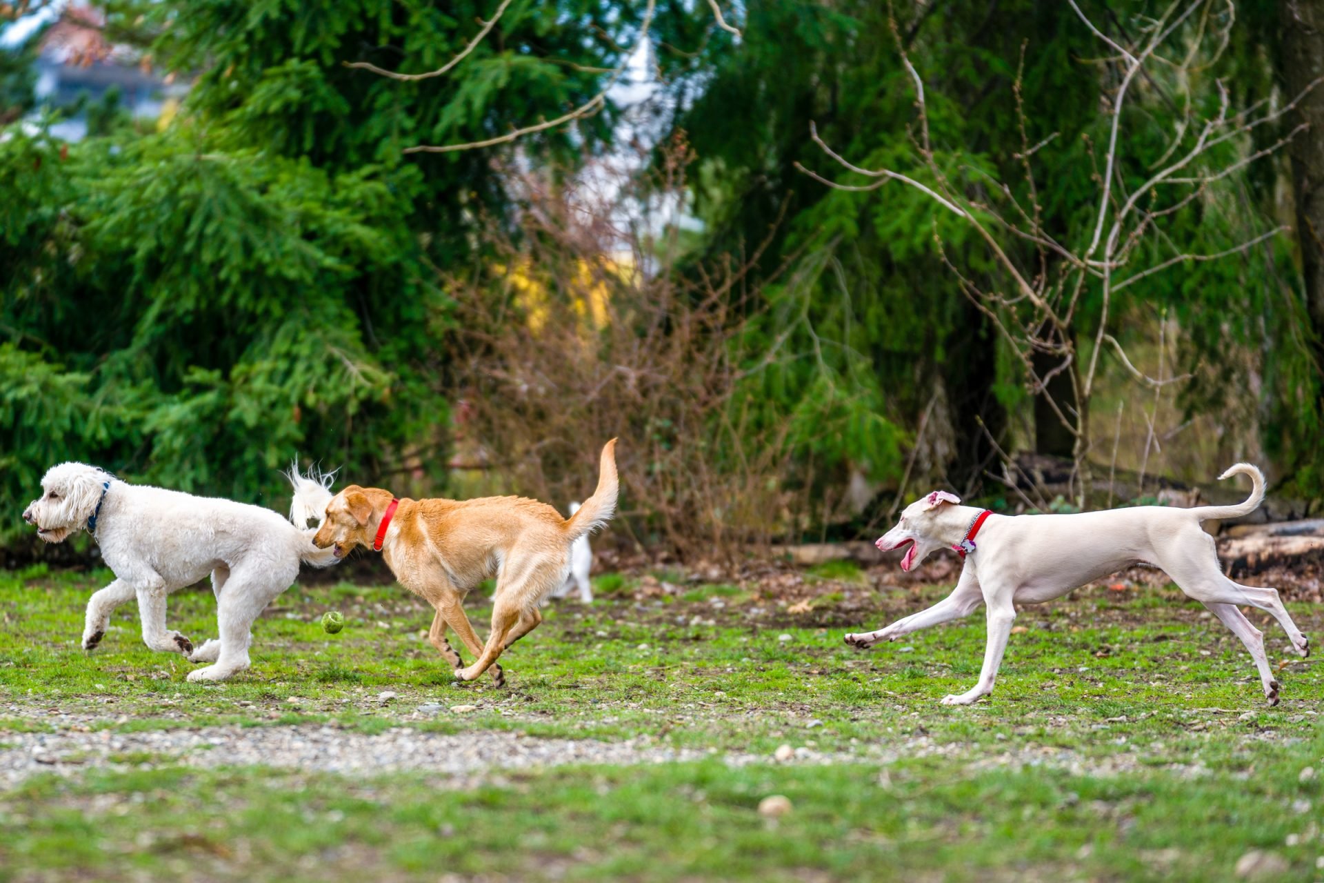 2021_09_gettyimages-685373932-scaled.jpg