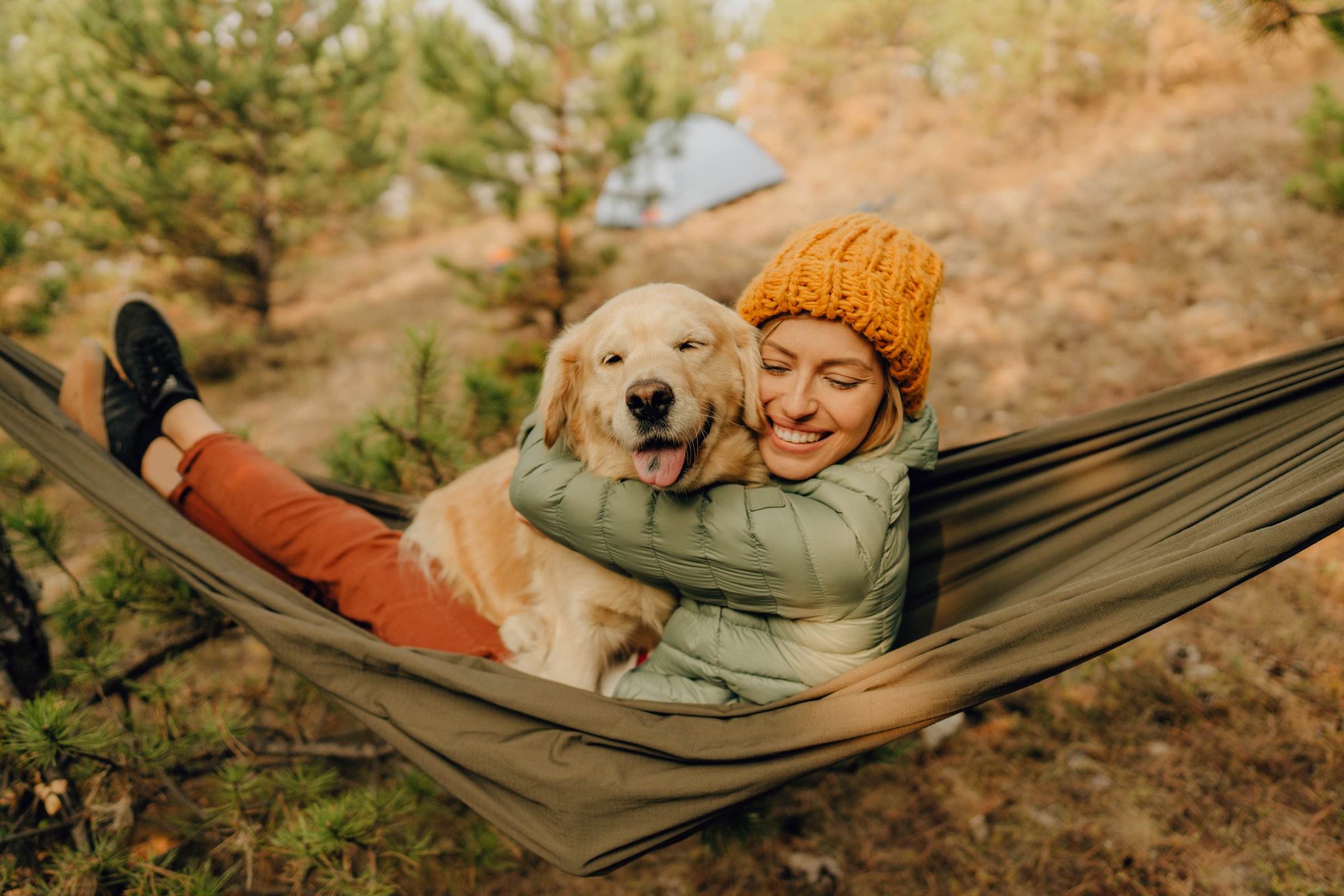 ősz függőágy golden retriever szeret ölelés gazdi