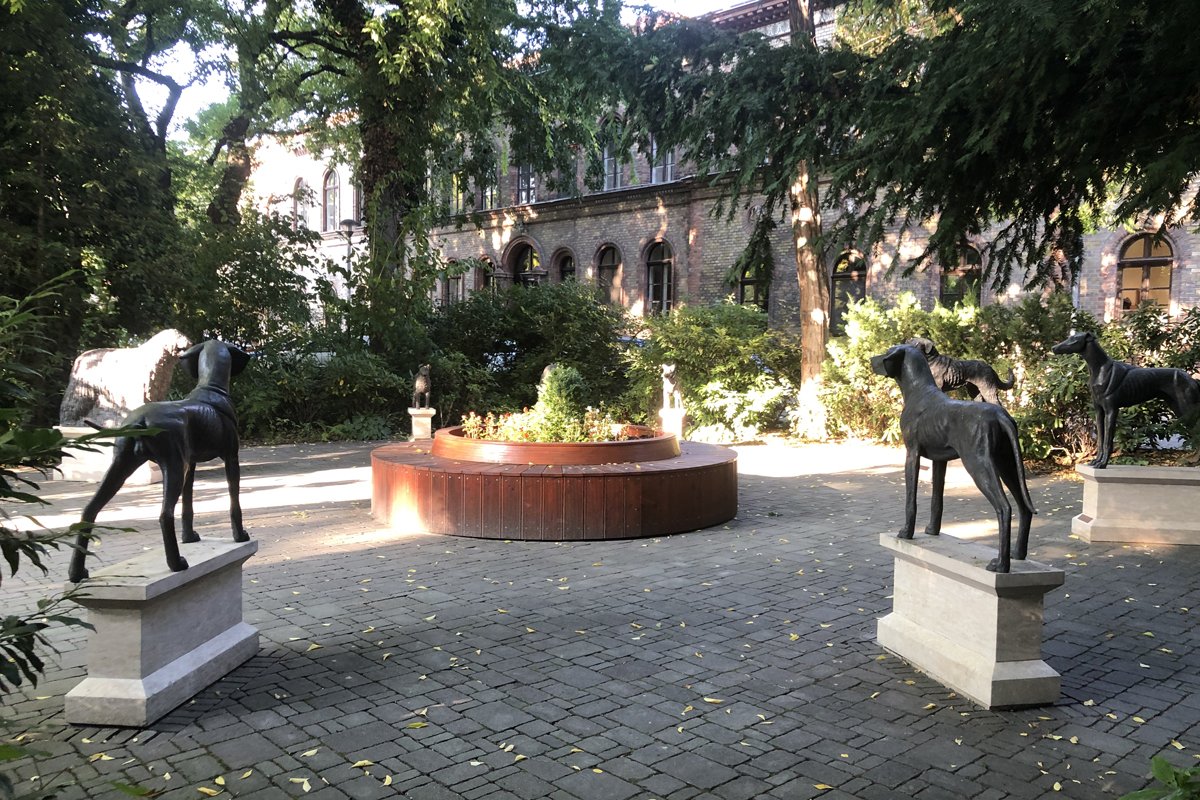 állatorvostudományi egyetem park