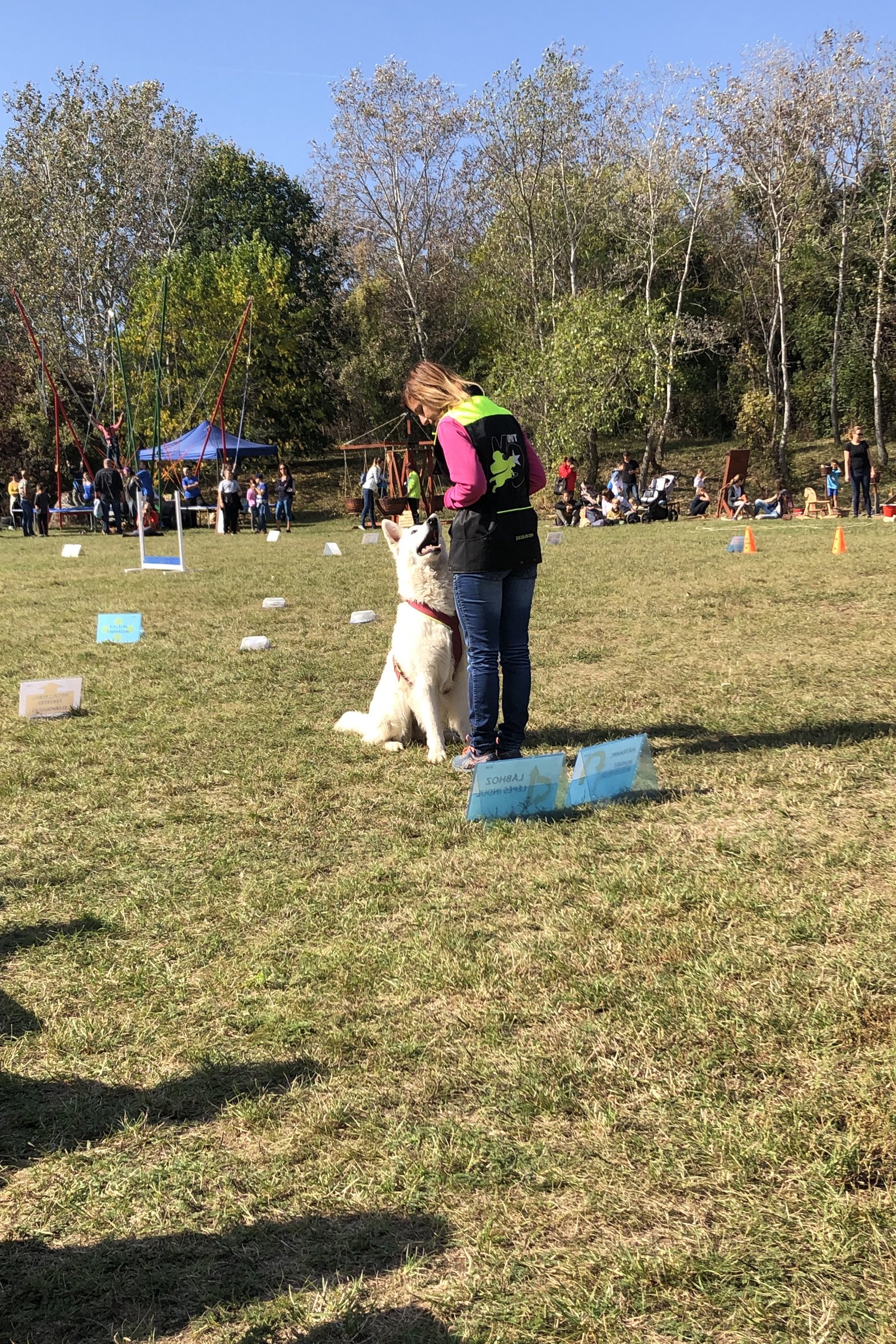 rally obedience