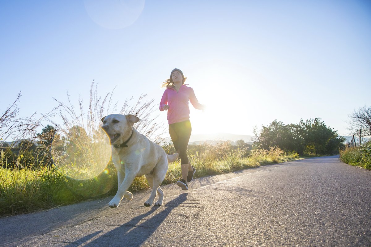 Young woman running along rural road with pet dog, low angle view