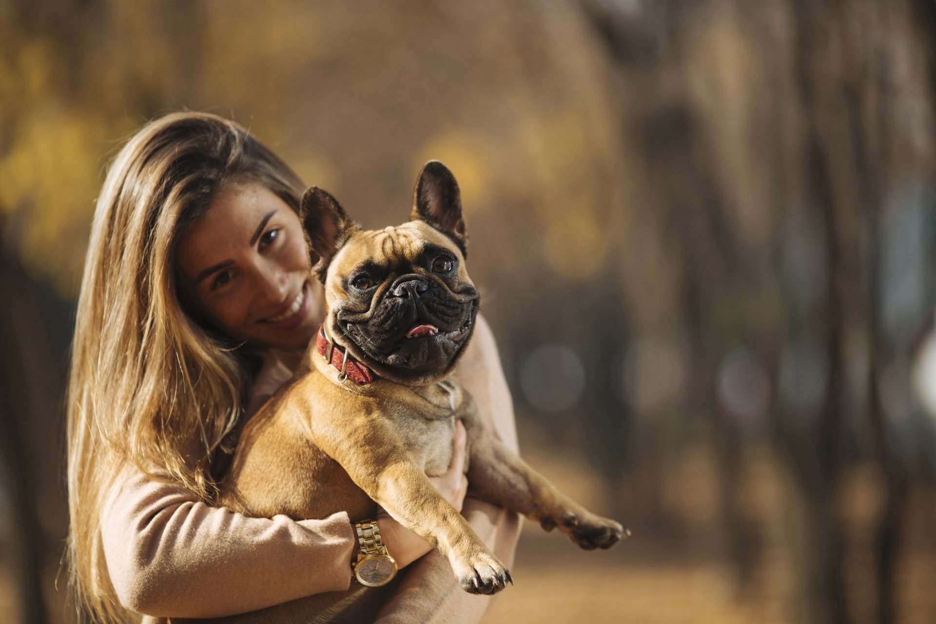 2021_10_osz-francia-bulldog-scaled.jpg