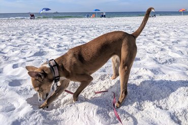 Fotó: Őri Borbála