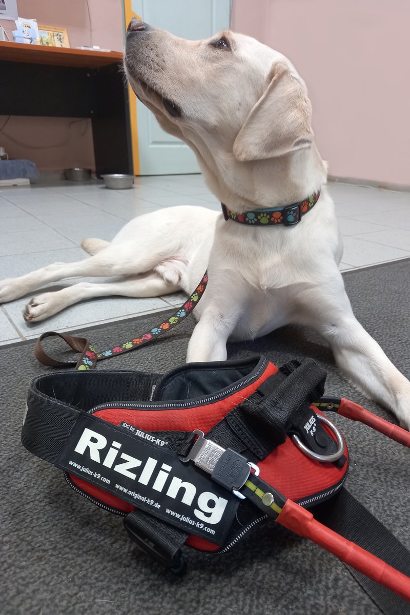rizling