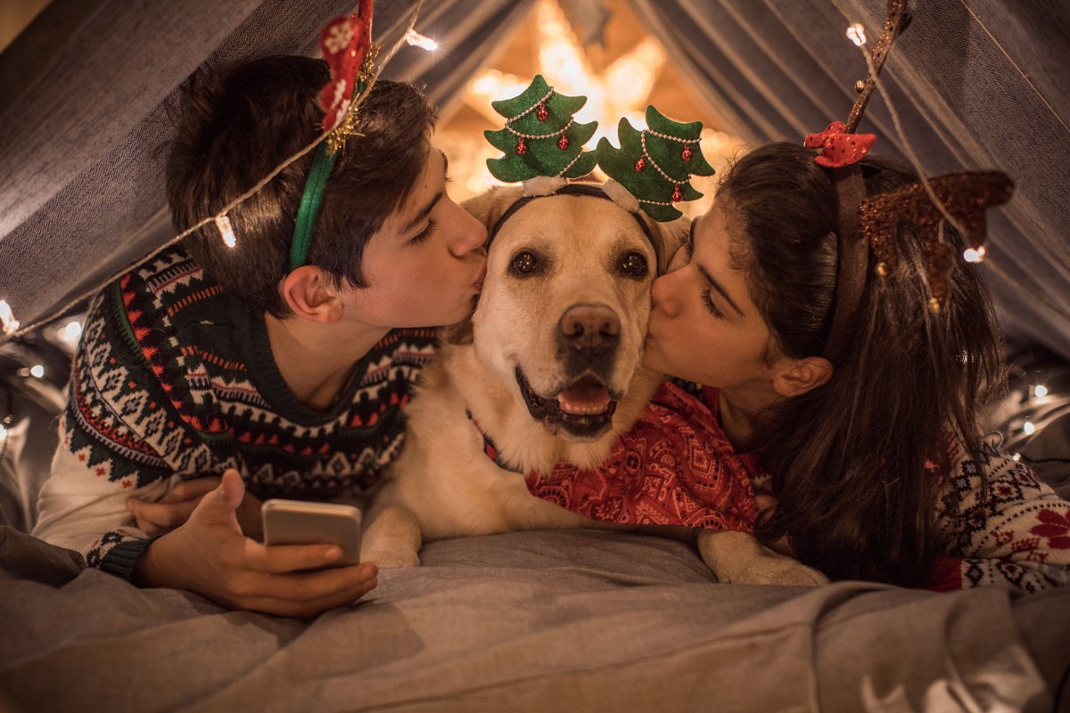 gyerekek karácsony labrador puszi kutya