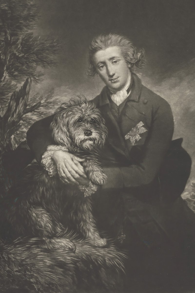 szakállas collie bearded Henry Scott festmény bobtail óangol juhászkutya